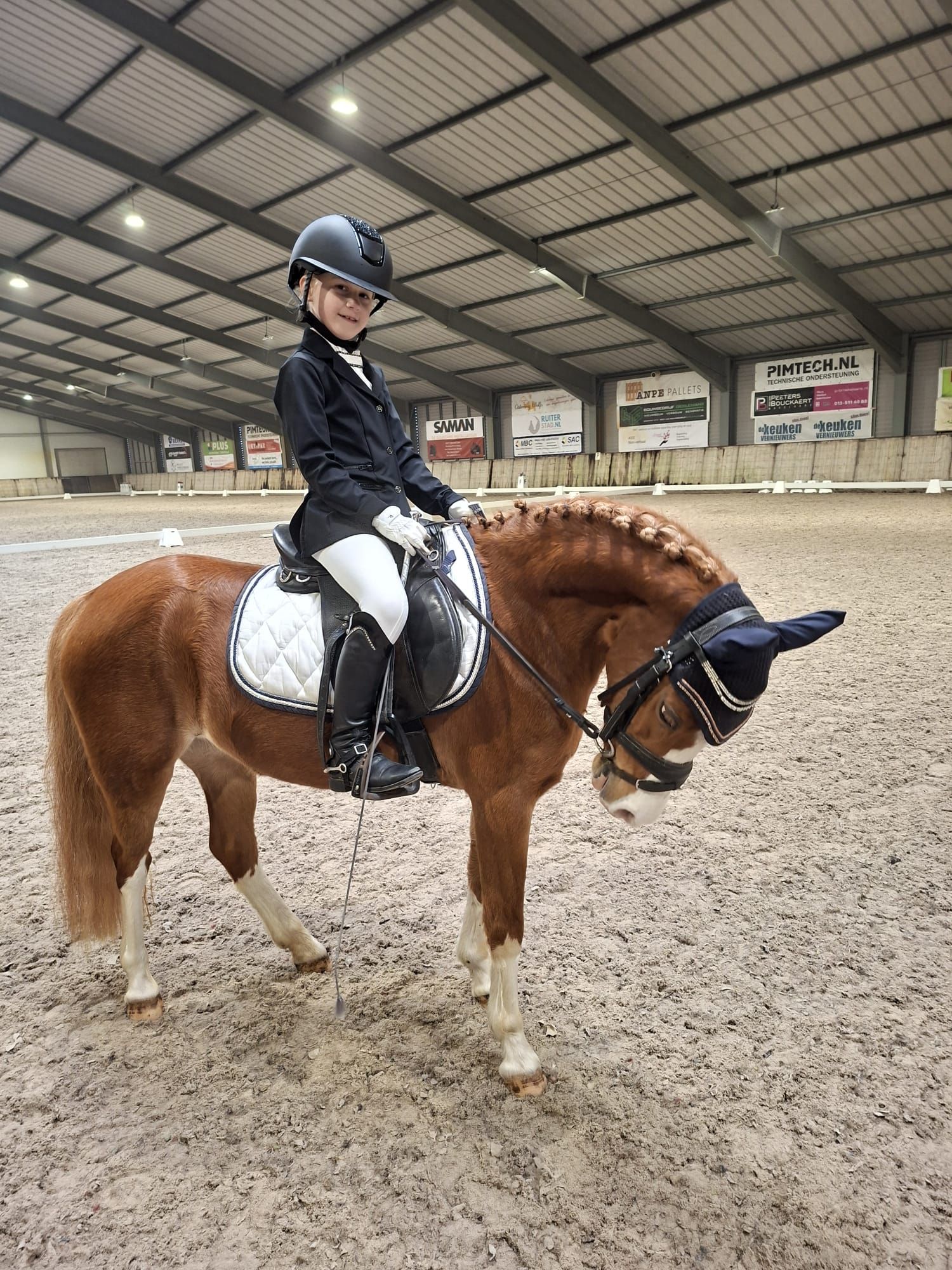 welsh allround-pony merrie 19 jaar vos te koop - Foto 6