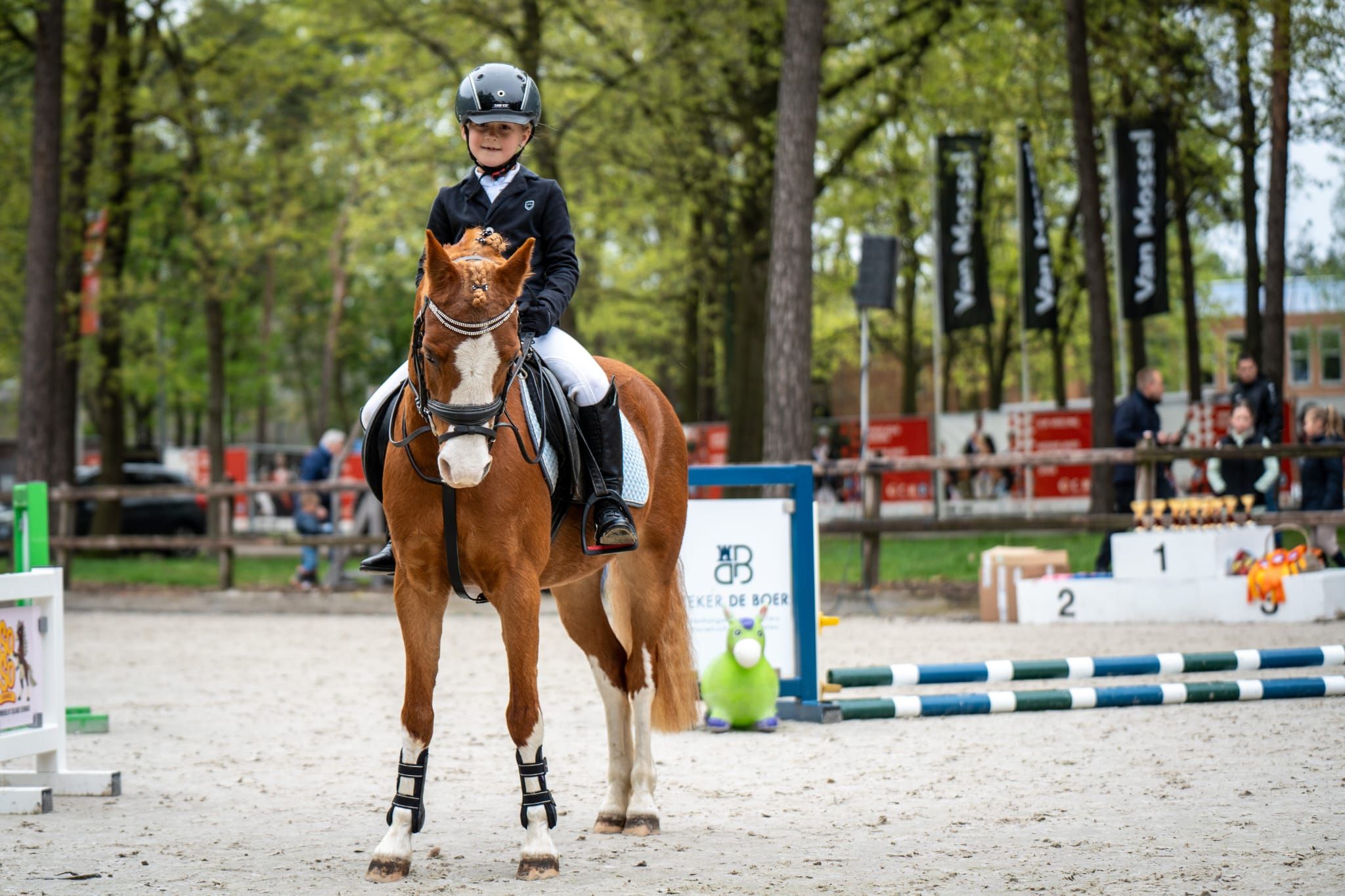 welsh allround-pony merrie 19 let vos na prodej - Foto 5