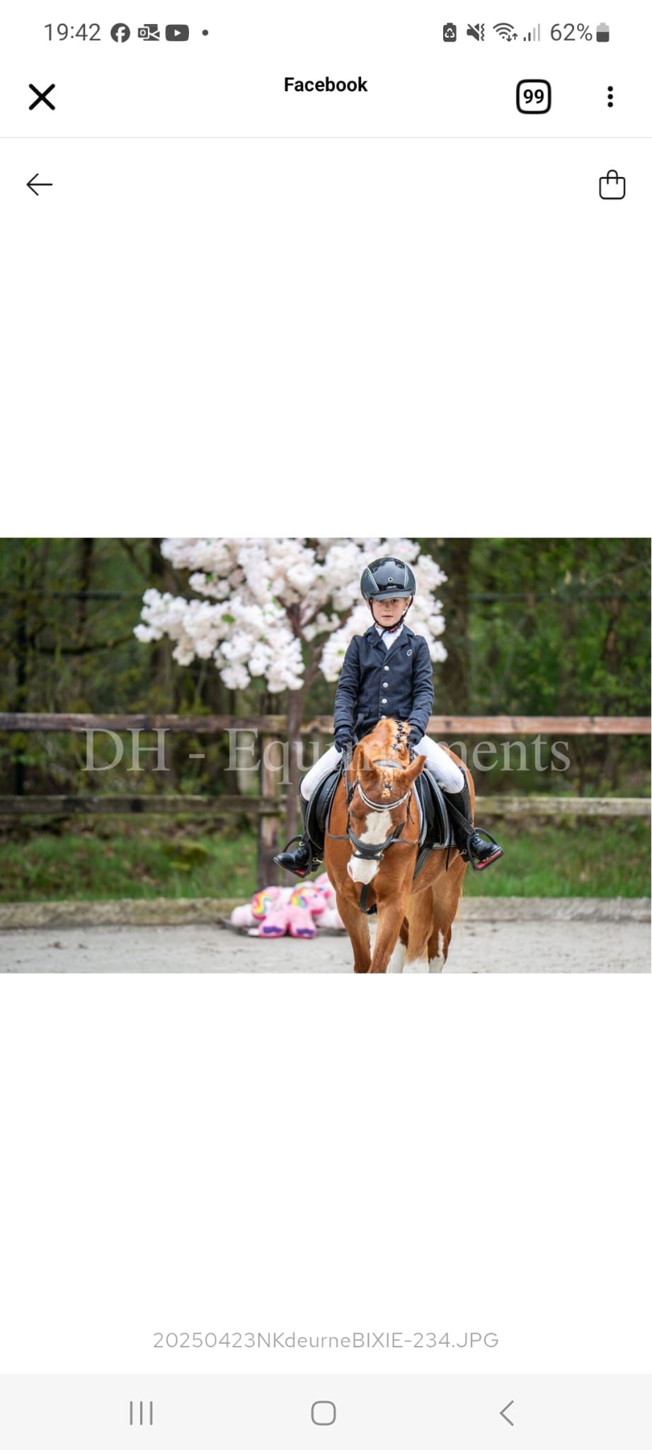 welsh allround-pony merrie 19 let vos na prodej - Foto 6