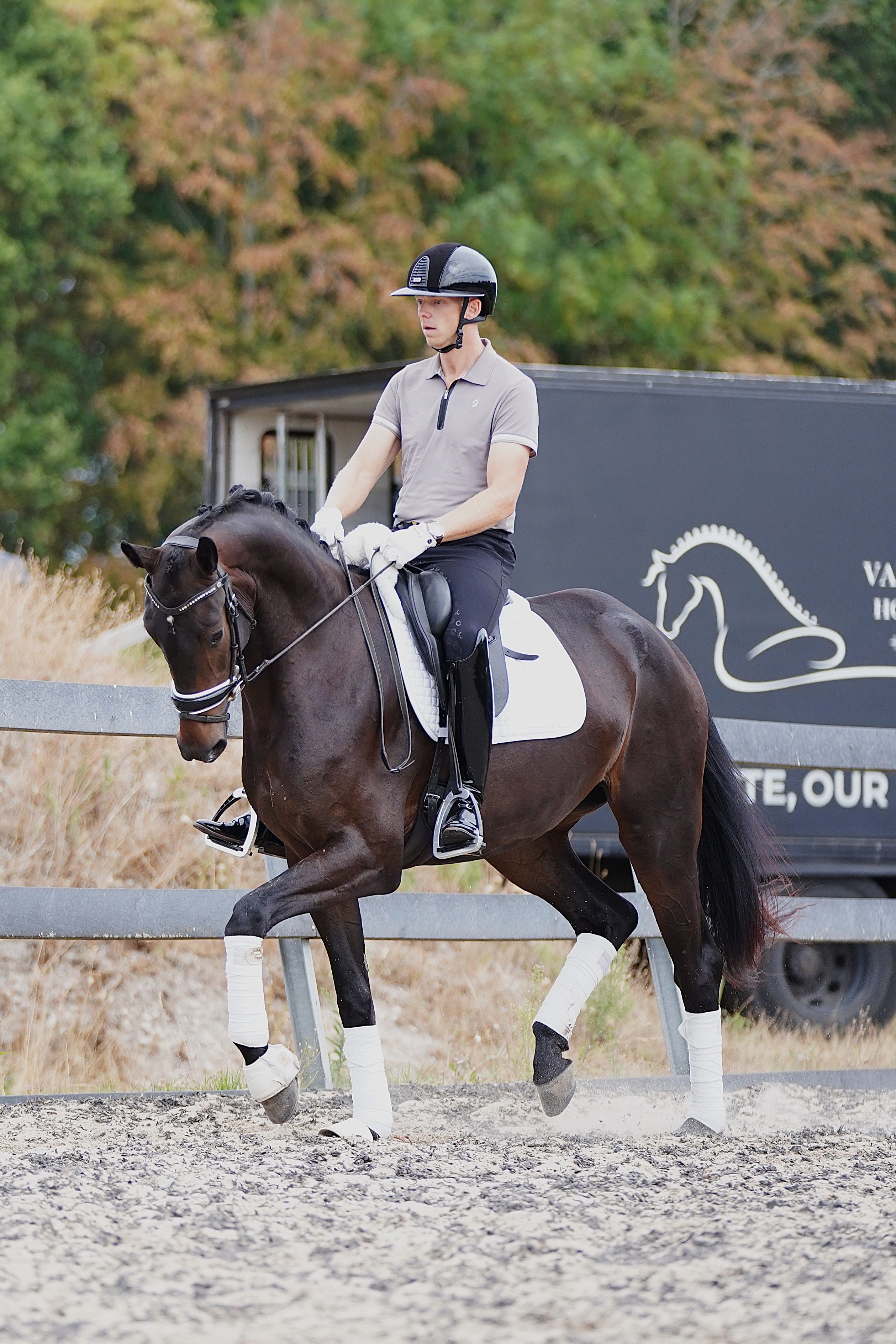 kwpn dressuurpaard merrie 3 years old donkerbruin for sale - Photo 3