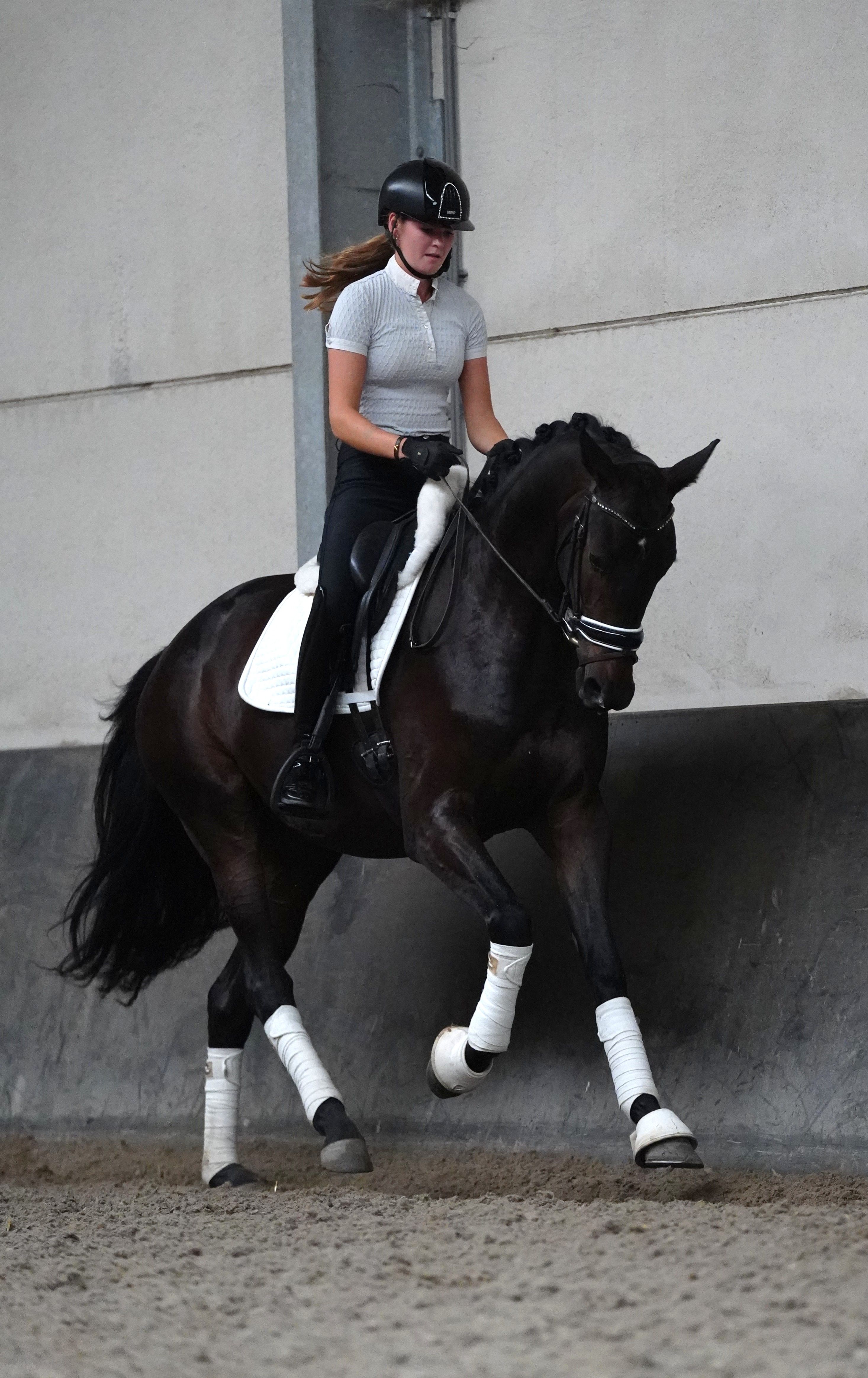 kwpn dressuurpaard merrie 3 years old donkerbruin for sale - Photo 5