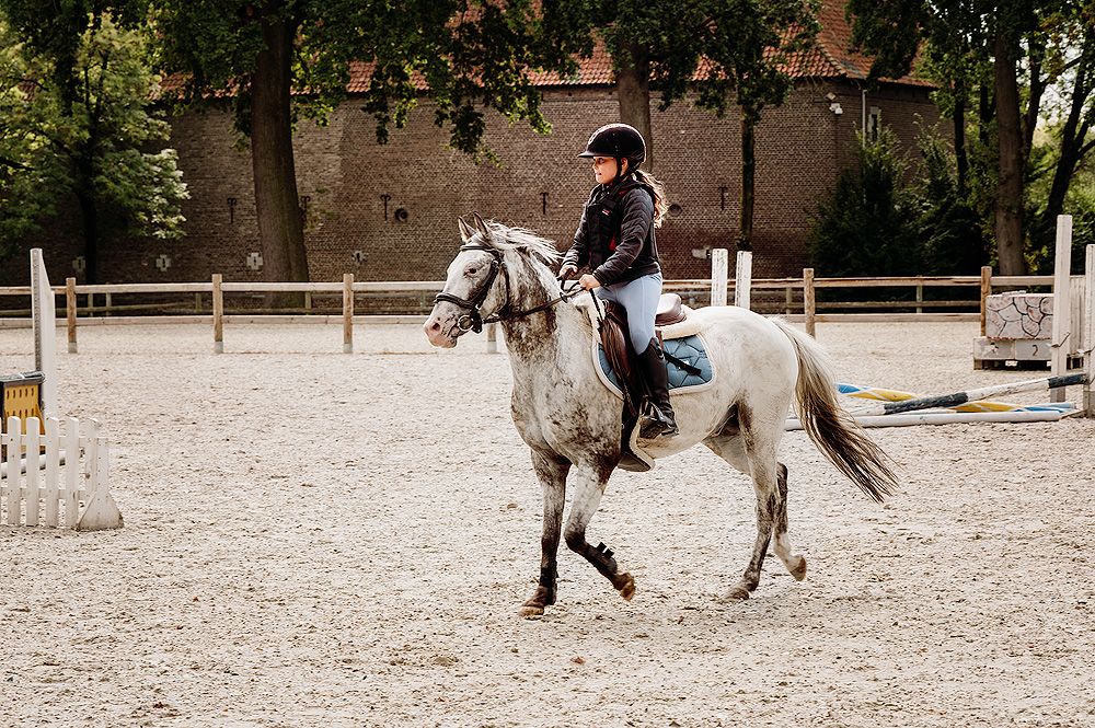 appaloosa-pony springpony ruin 5 lat andere-kleur na sprzedaż - Zdjęcie 5
