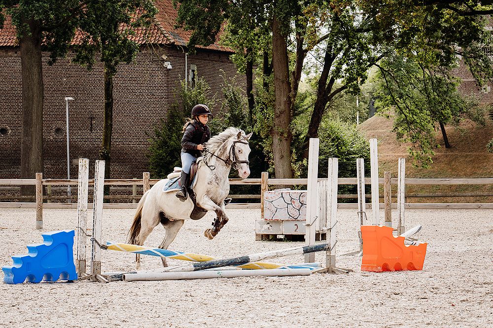 appaloosa-pony springpony ruin 5 lat andere-kleur na sprzedaż - Zdjęcie 2