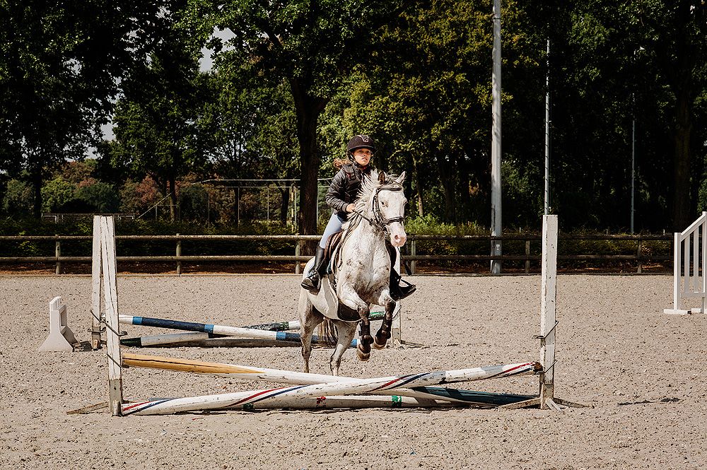 appaloosa-pony springpony ruin 5 lat andere-kleur na sprzedaż - Zdjęcie 6