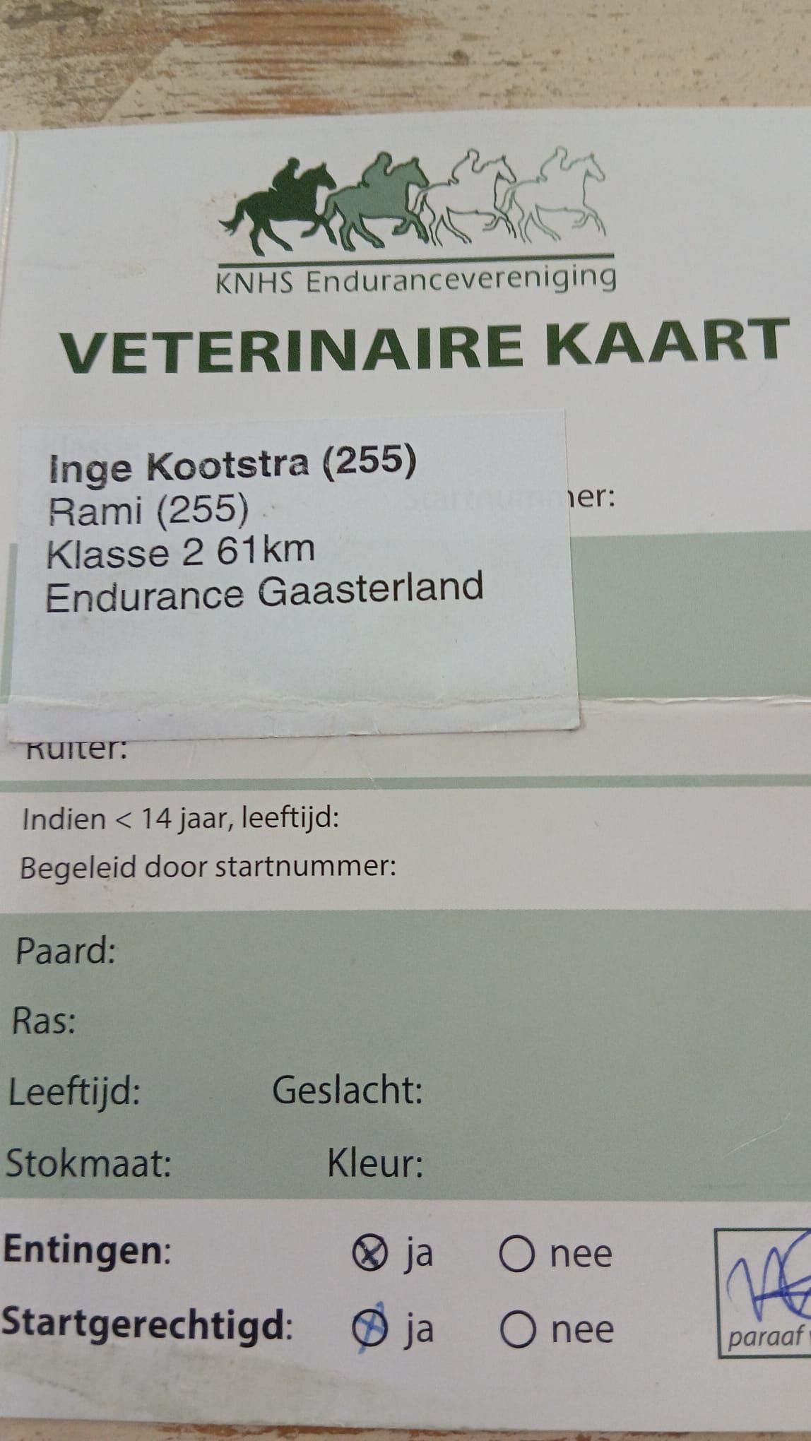 ander endurance-paard ruin 12 år bruin til salgs - Foto 3