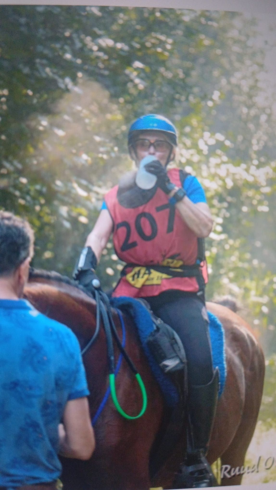 ander endurance-paard ruin 12 år bruin till salu - Foto 3