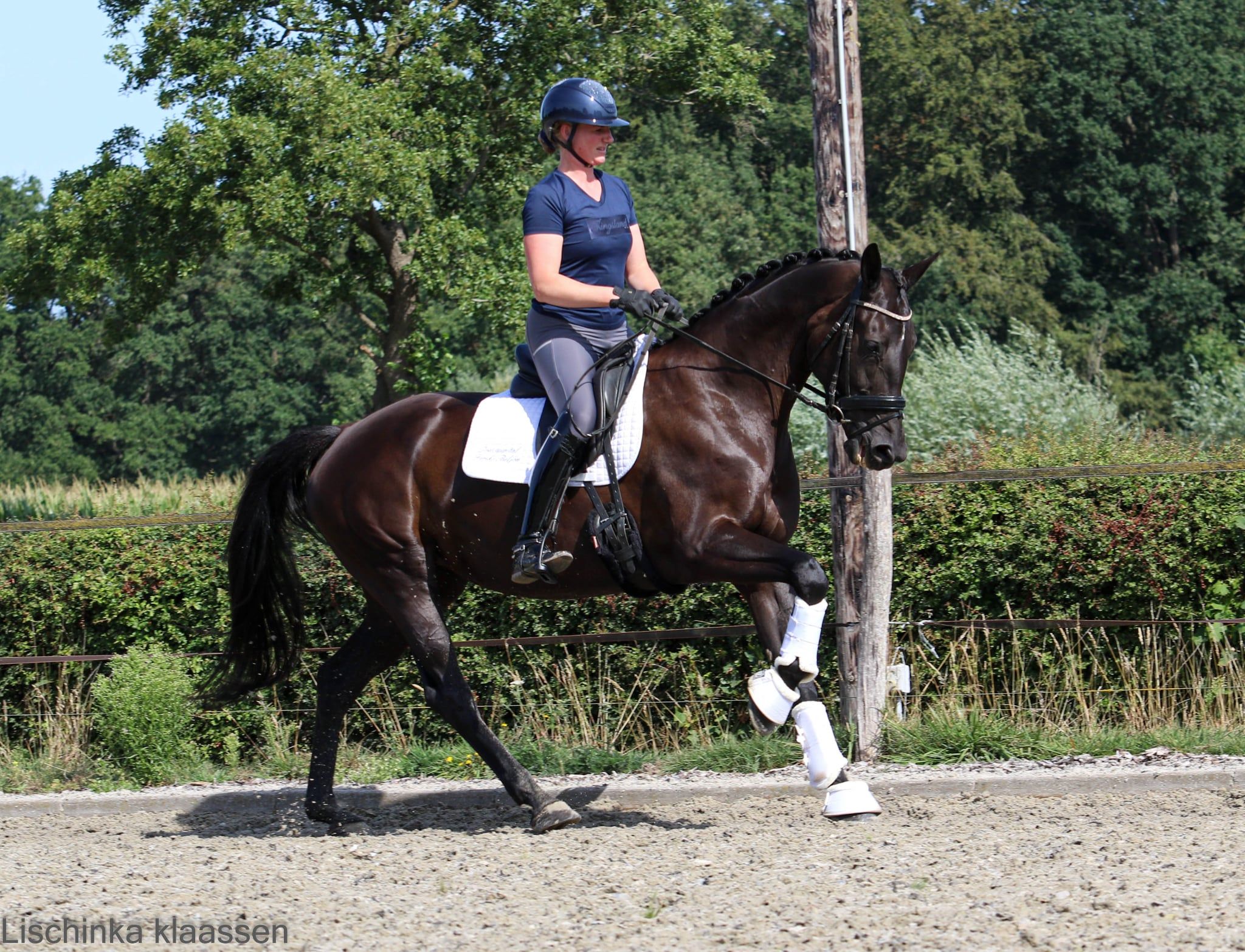 Mooie 7 jarige merrie v. Glamourdale