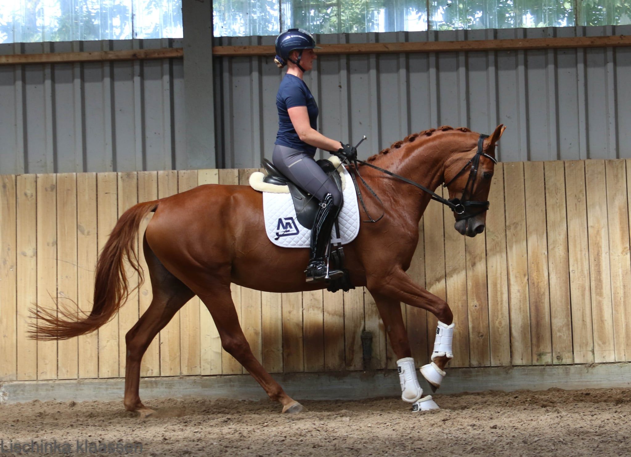 kwpn dressuurpaard merrie 5 años vos en venta - Foto 5