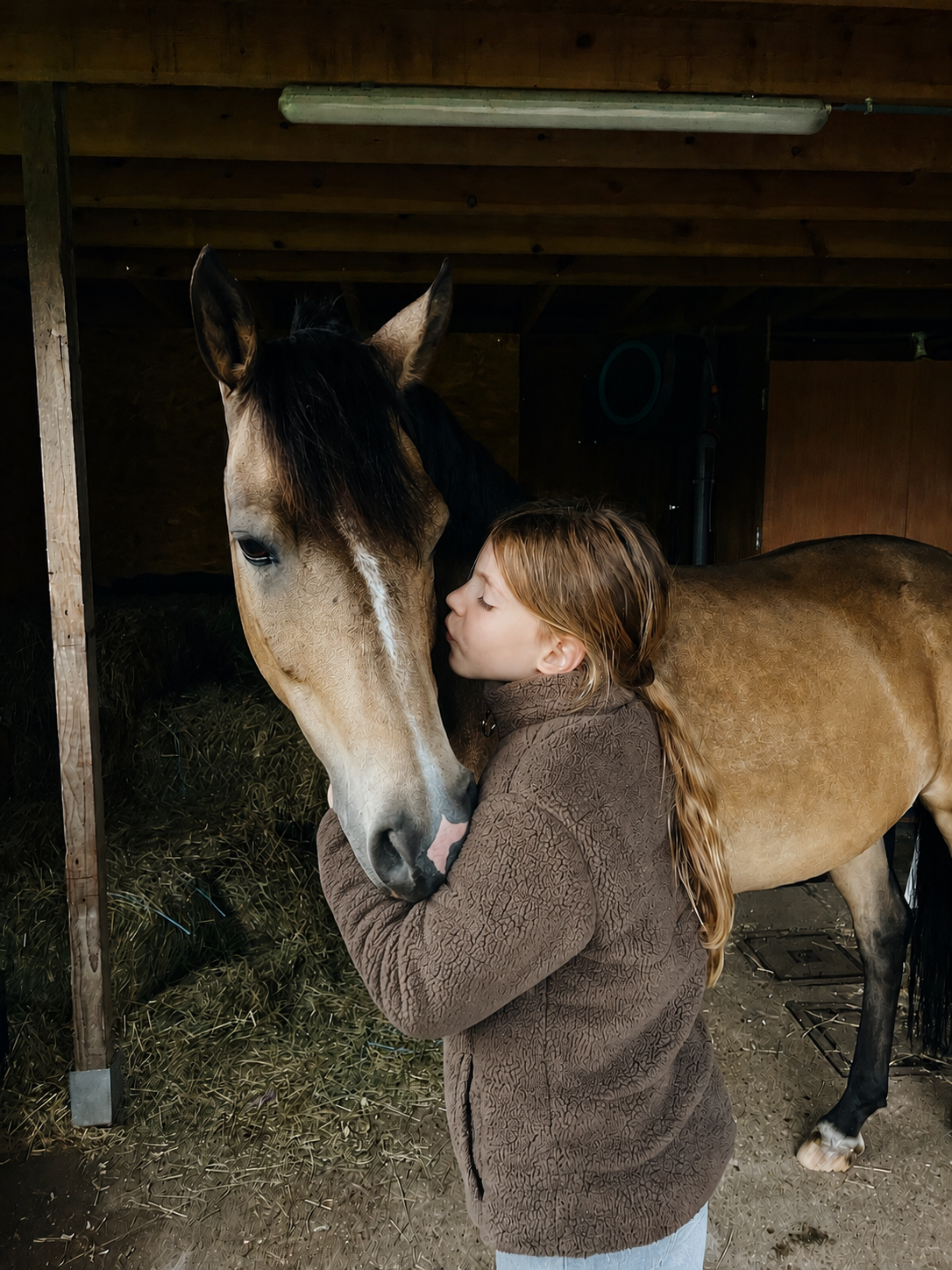 bwp allround-pony ruin 12 år andere-kleur till salu - Foto 6