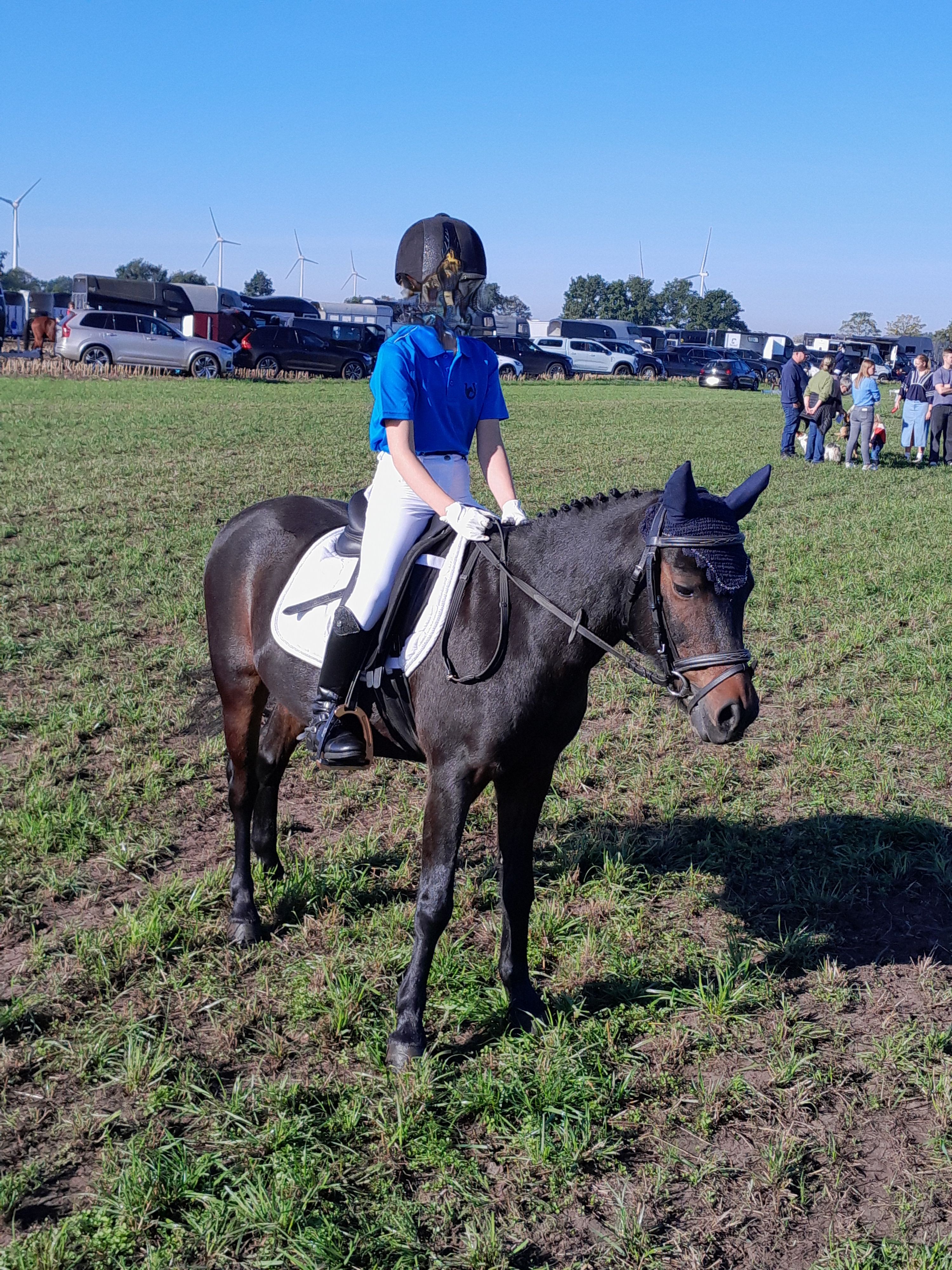 Pony till salu