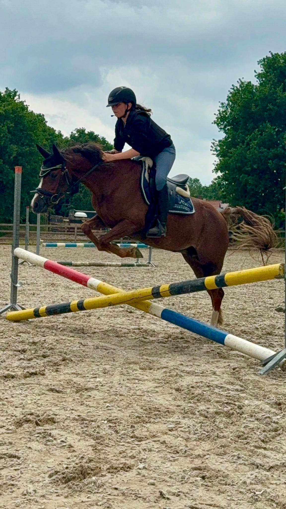 Super schönes C-Pony zu verkaufen