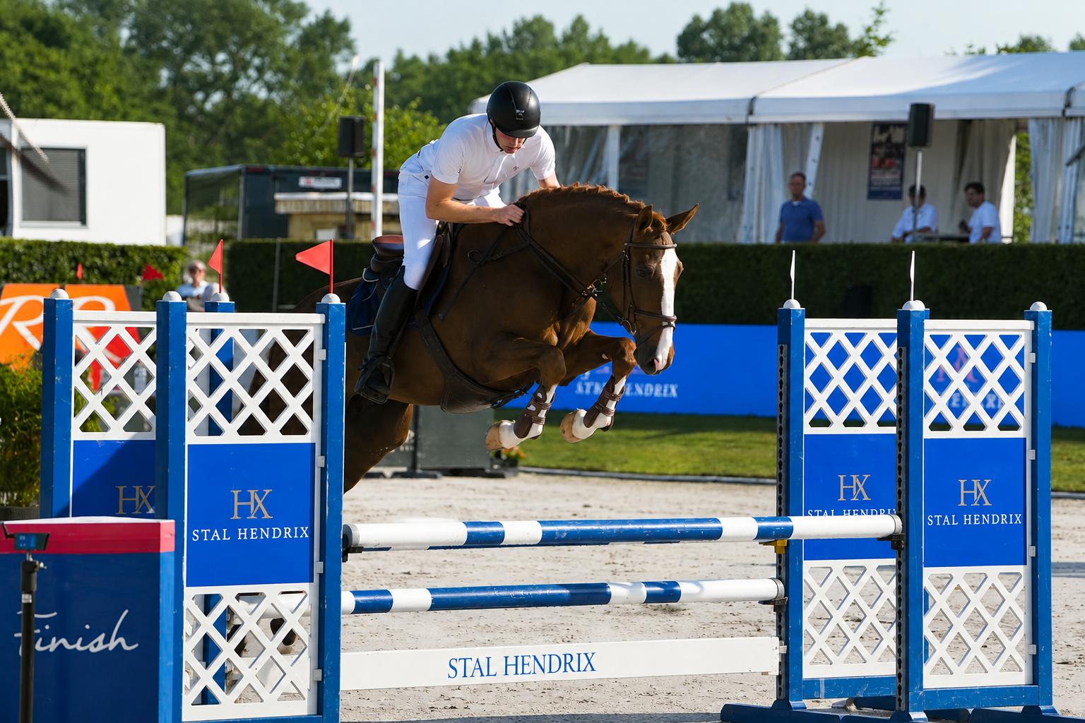 kwpn springpaard ruin 4 år vos til salgs - Foto 2