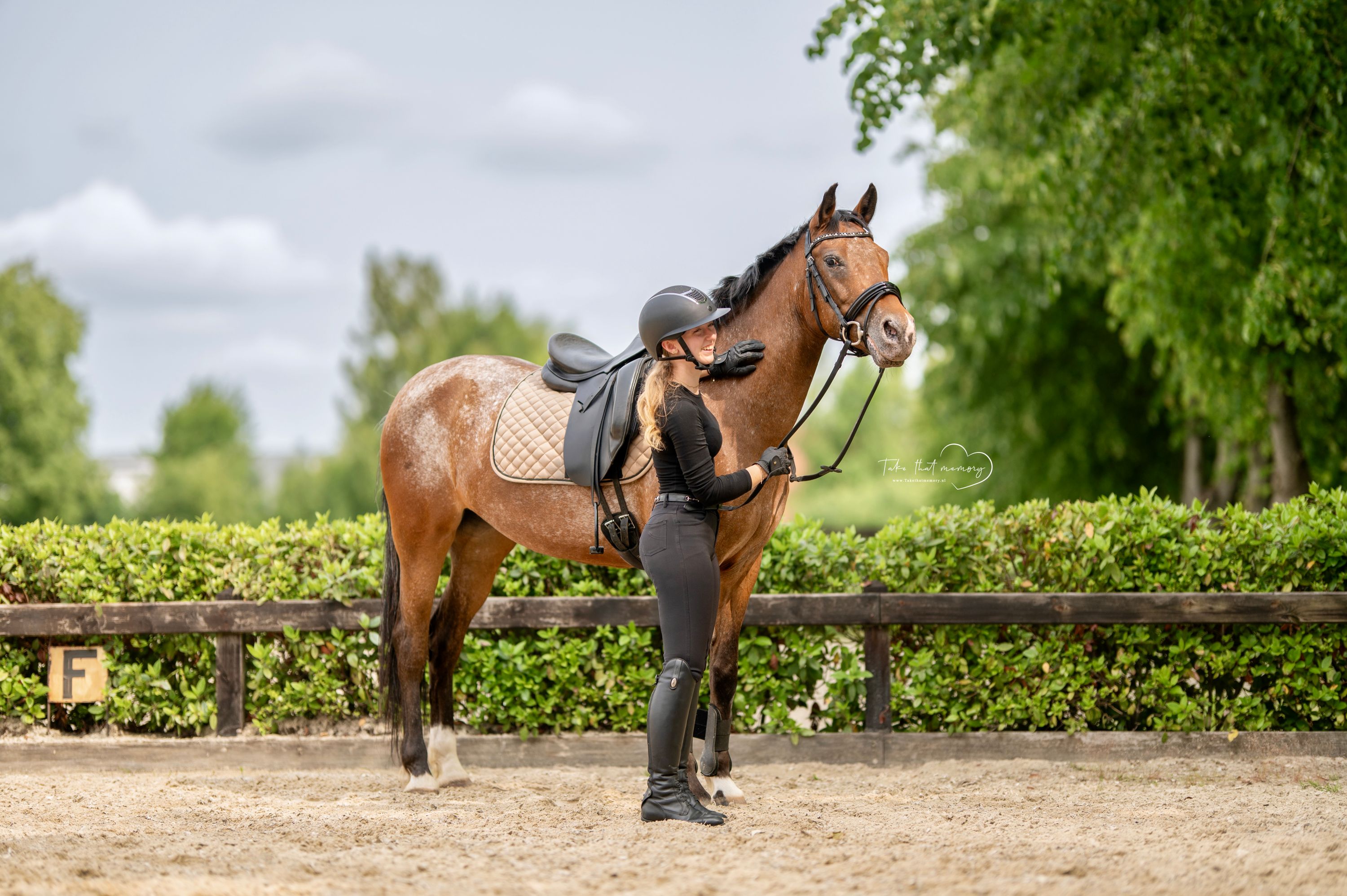appaloosa-pony recreatie-pony merrie 14 lat bruin na sprzedaż - Zdjęcie 3