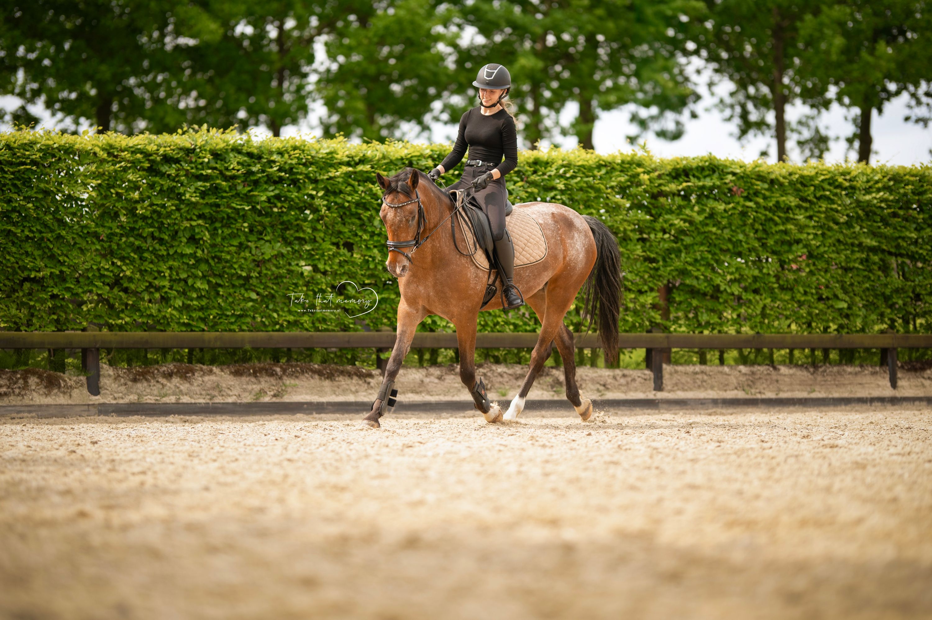 appaloosa-pony recreatie-pony merrie 14 lat bruin na sprzedaż - Zdjęcie 5