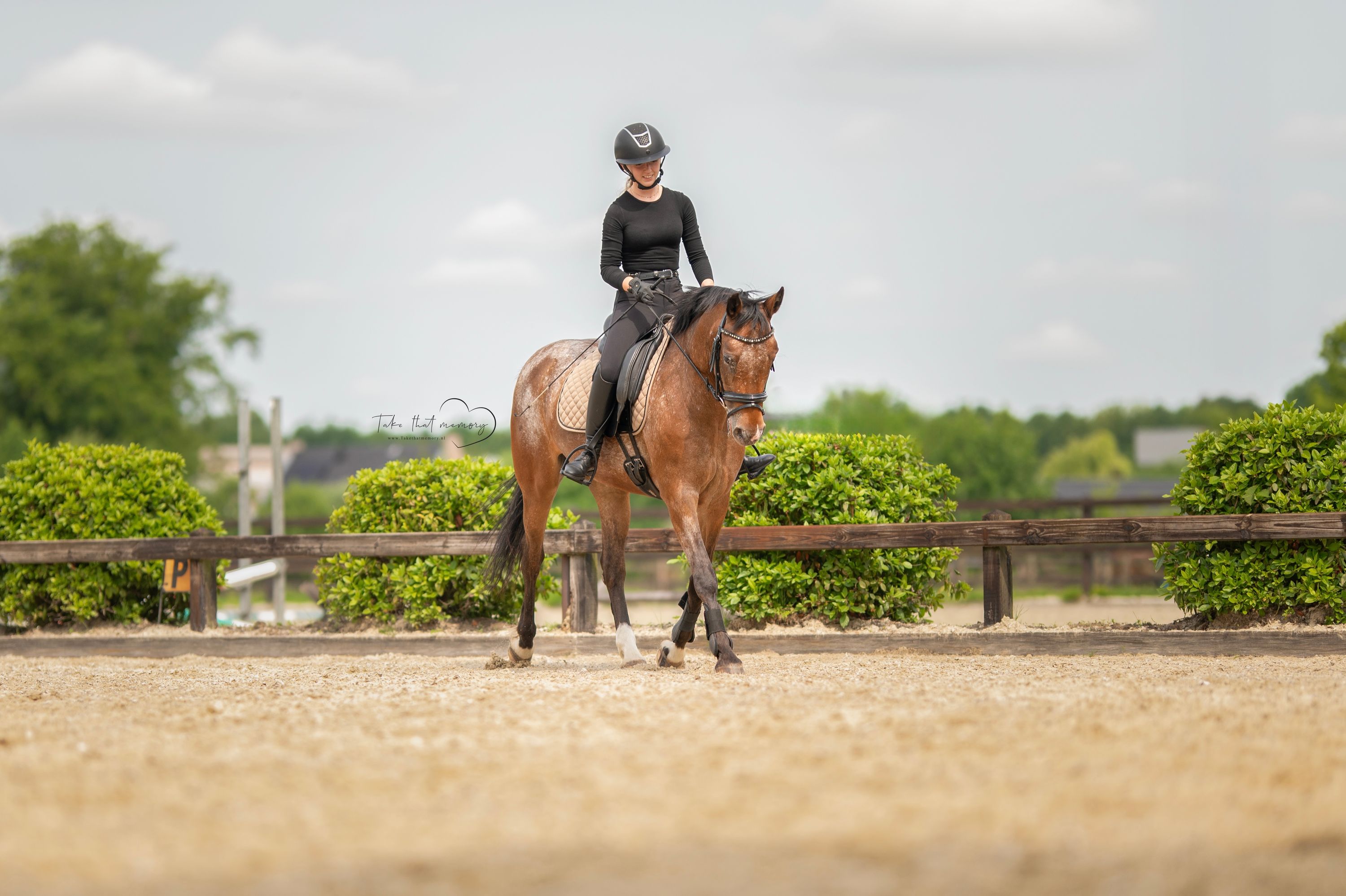 appaloosa-pony recreatie-pony merrie 14 lat bruin na sprzedaż - Zdjęcie 4