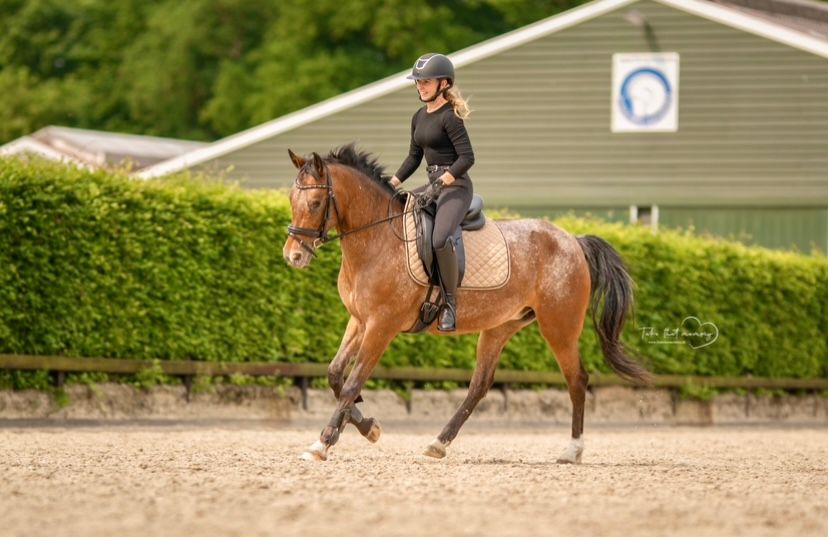 appaloosa-pony recreatie-pony merrie 14 lat bruin na sprzedaż - Zdjęcie 2