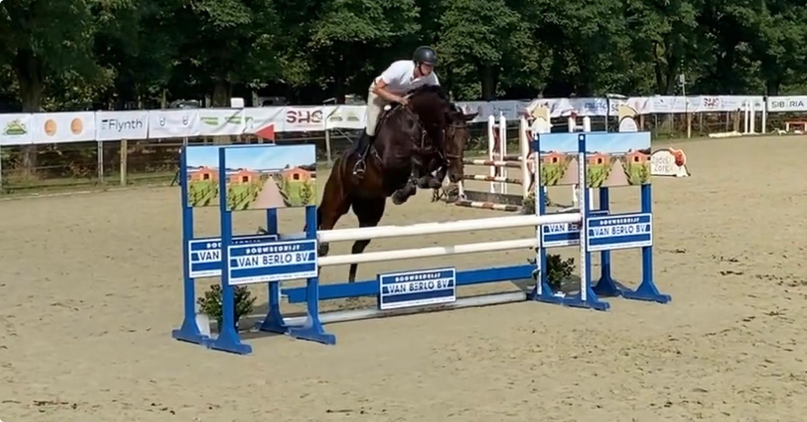 7-year-old mare by Canturano x Kannan