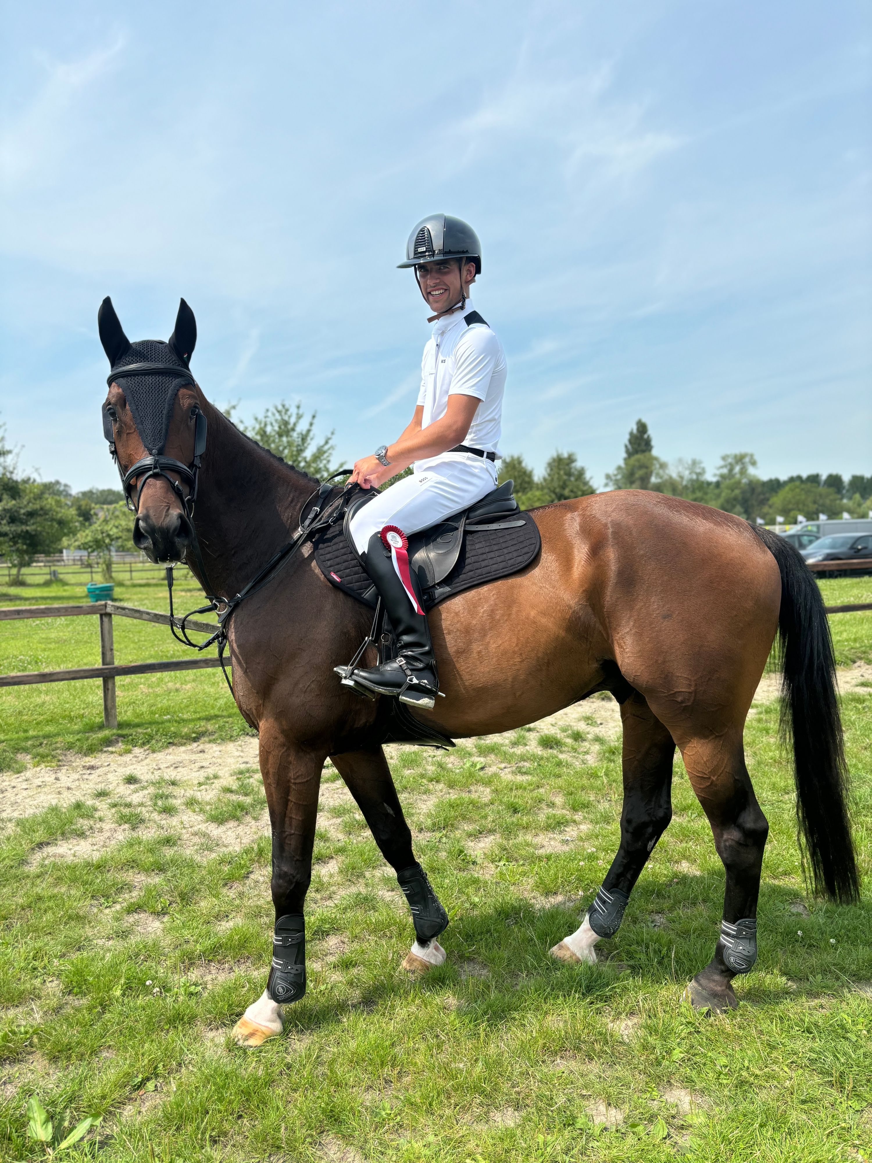 kwpn springpaard ruin 10 Jahre alt bruin zu verkaufen - Foto 3
