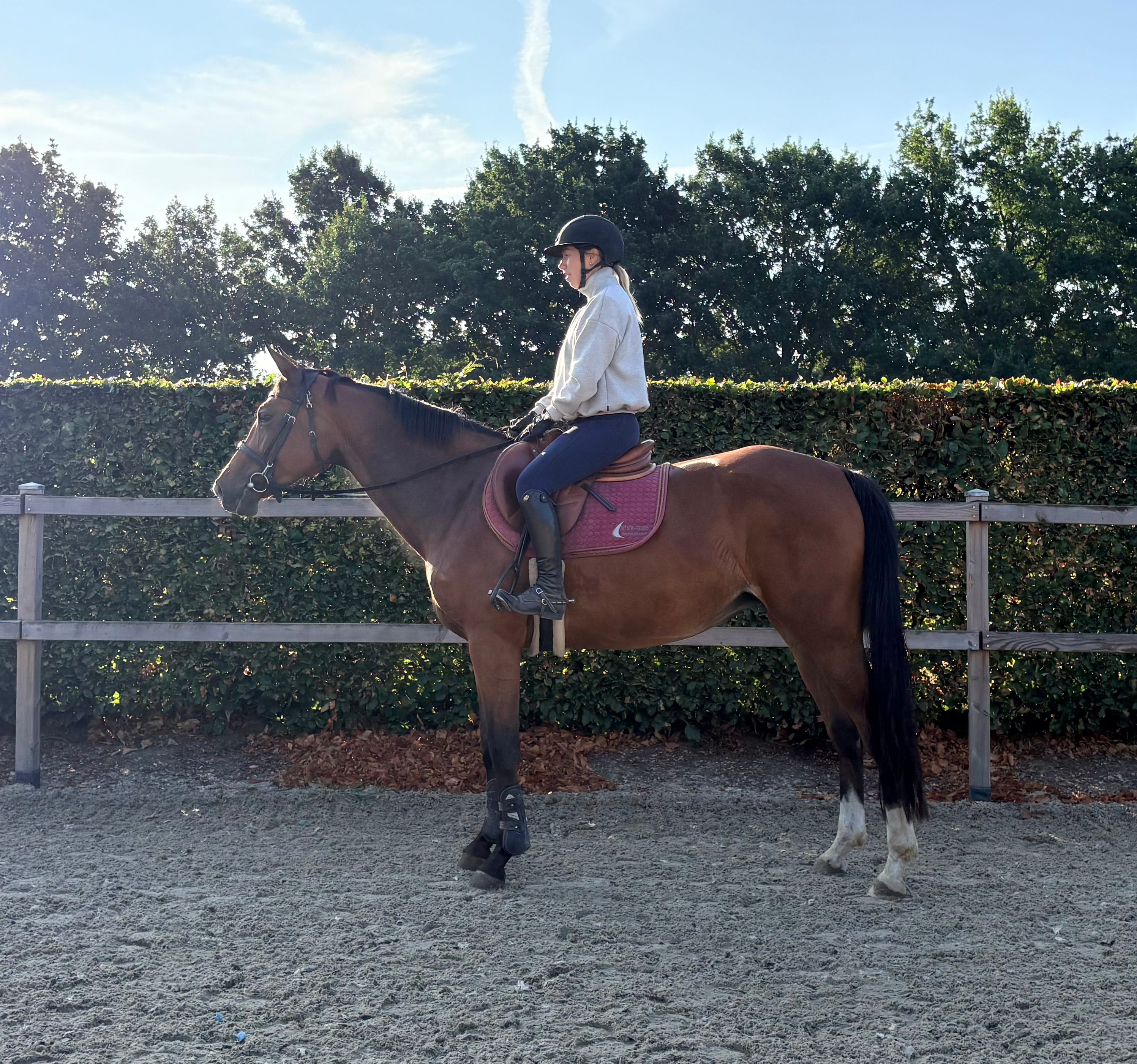 Brave 5 jarige merrie