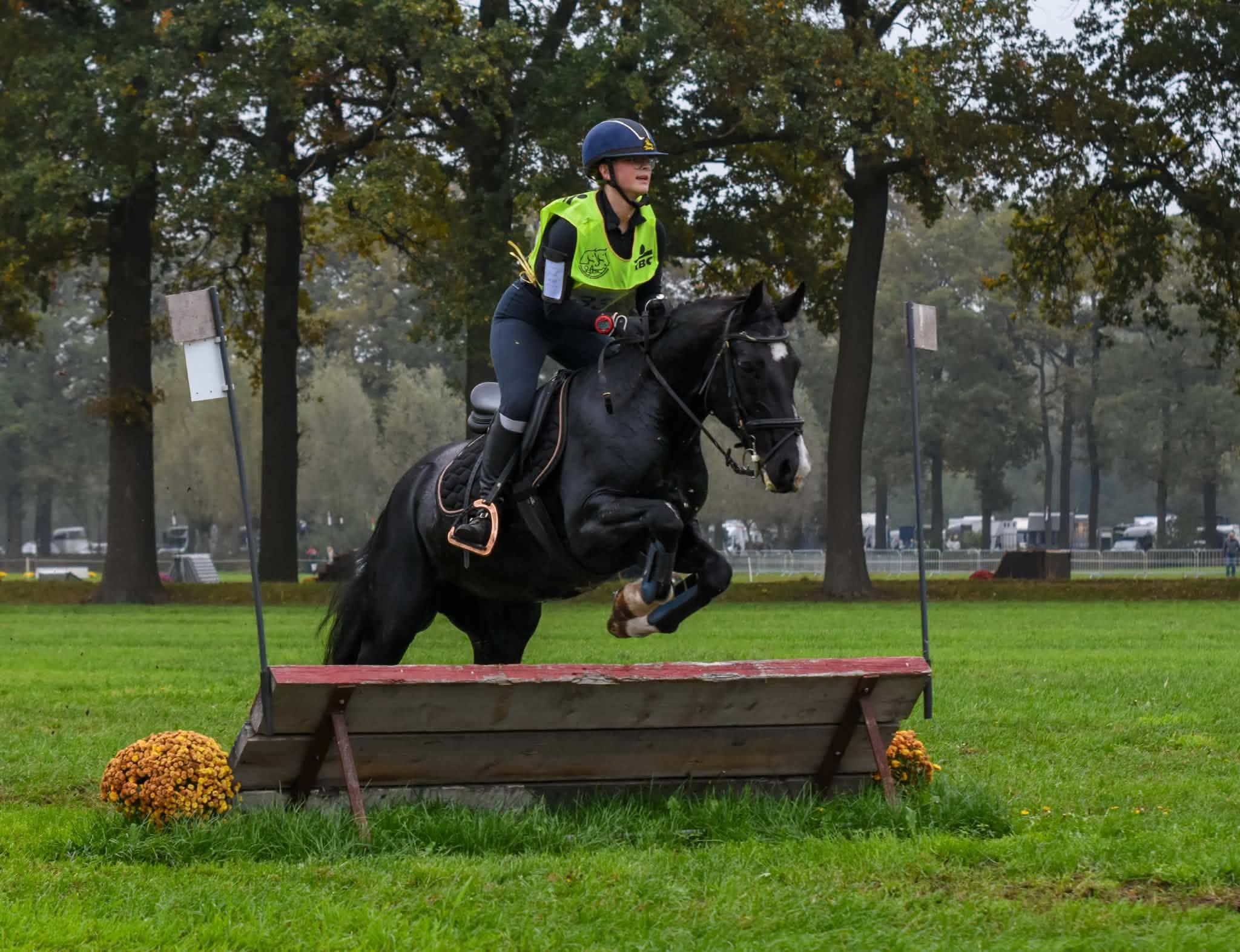 eventingpony merrie 16 let zwart na prodej - Foto 3
