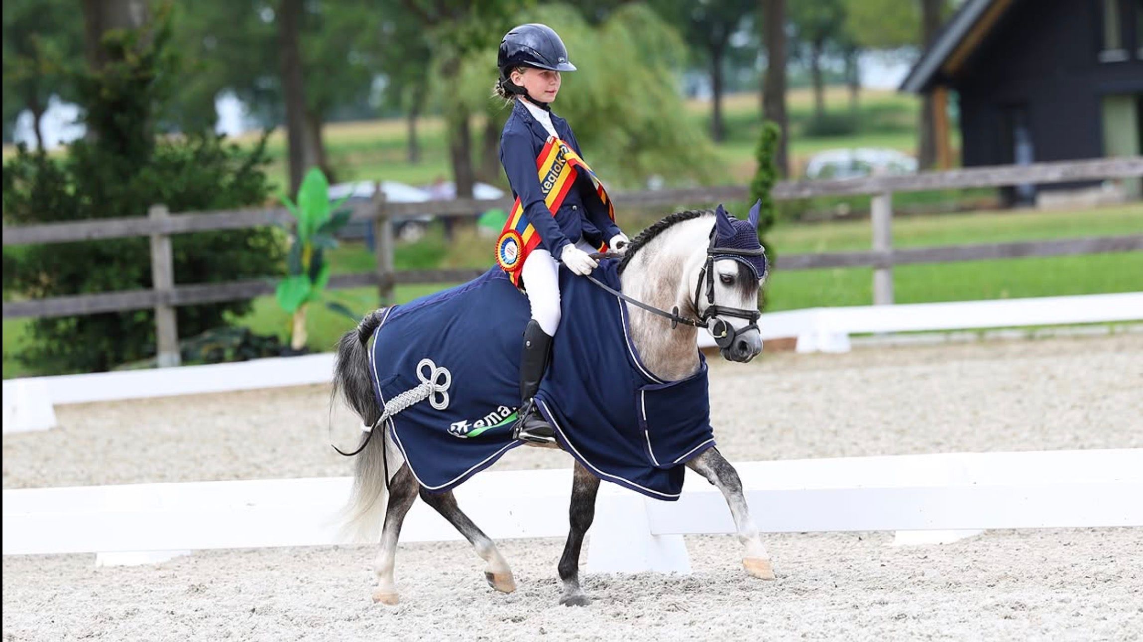 Welsh A pony všestranný dětský pony šampión