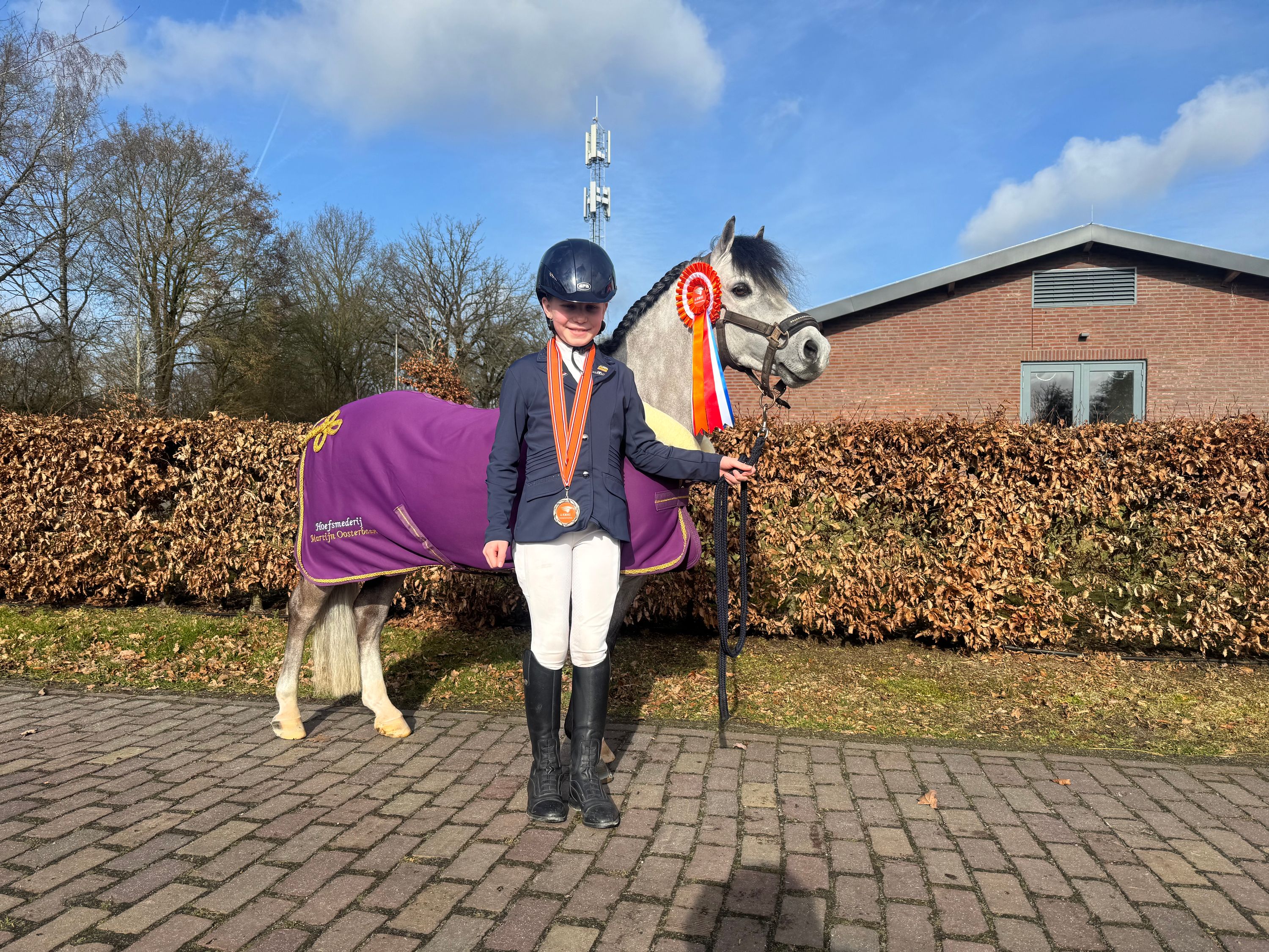 welsh allround-pony ruin 8 let schimmel na prodej - Foto 4