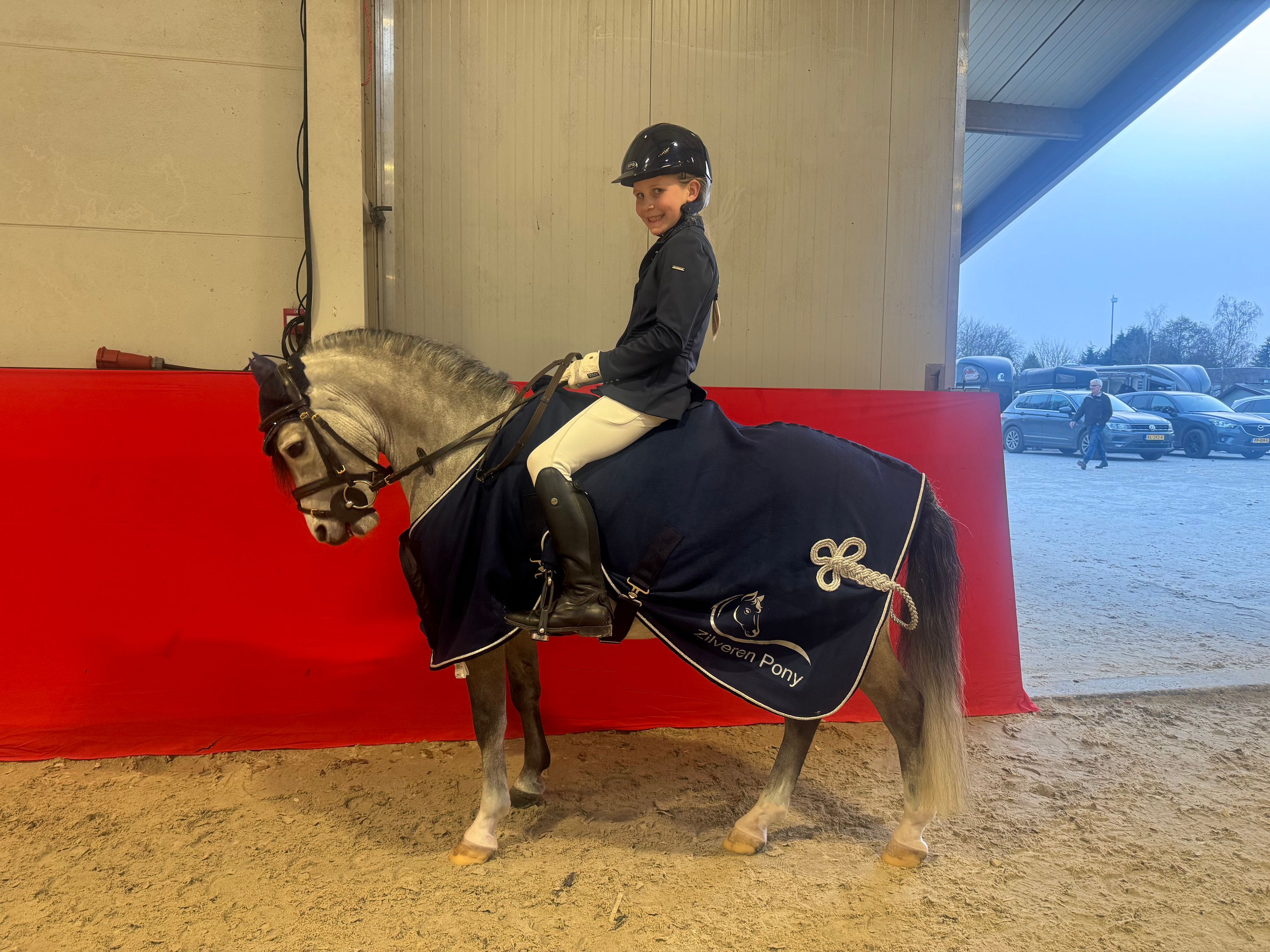 welsh allround-pony ruin 8 let schimmel na prodej - Foto 3