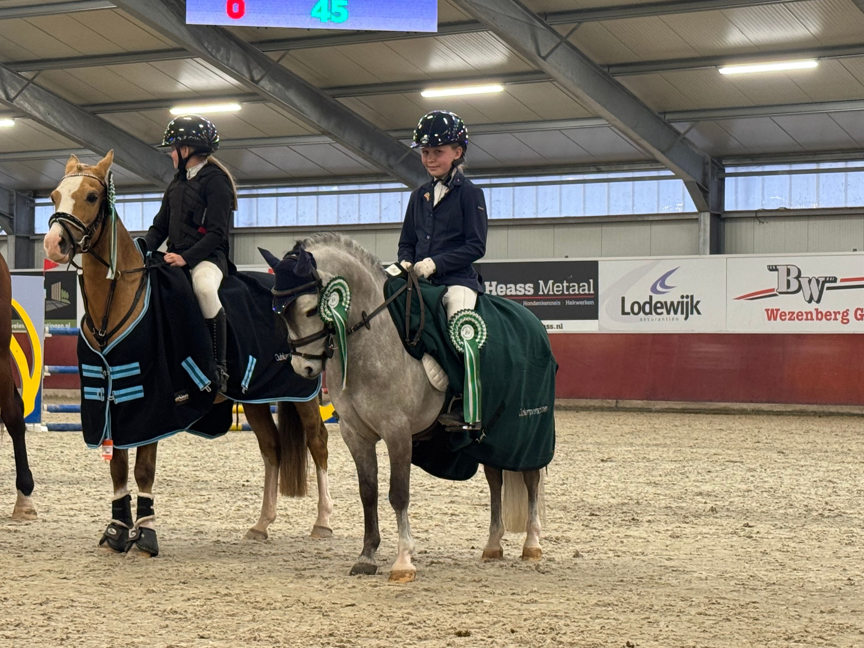 welsh allround-pony ruin 8 let schimmel na prodej - Foto 2