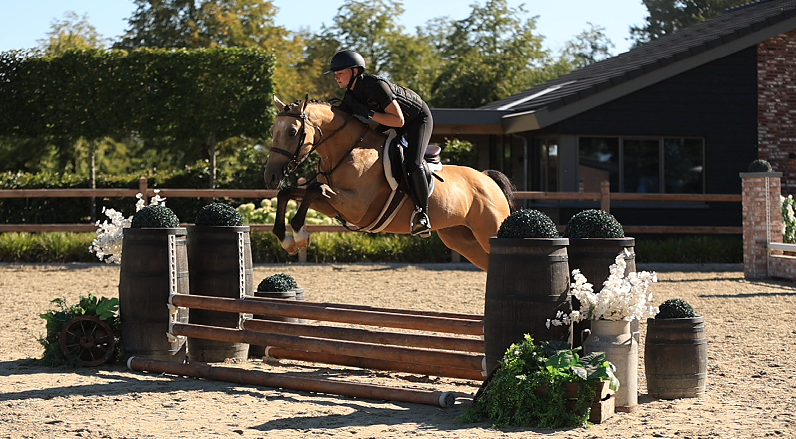 hunting-pony ruin 5 år andere-kleur till salu - Foto 6
