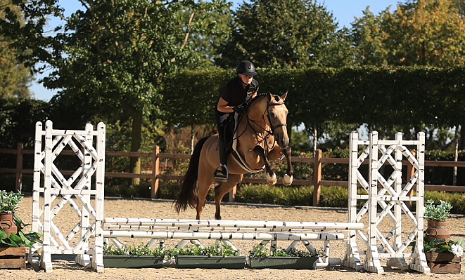 Looks, talent en een 10/10 temperament!
