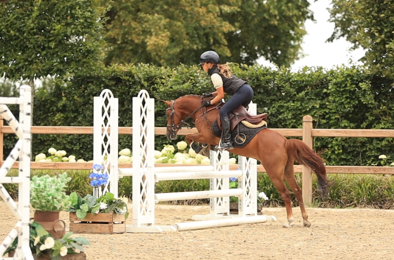 Proven, experienced and competitive; Walkie Talkie is ready for his next champion!