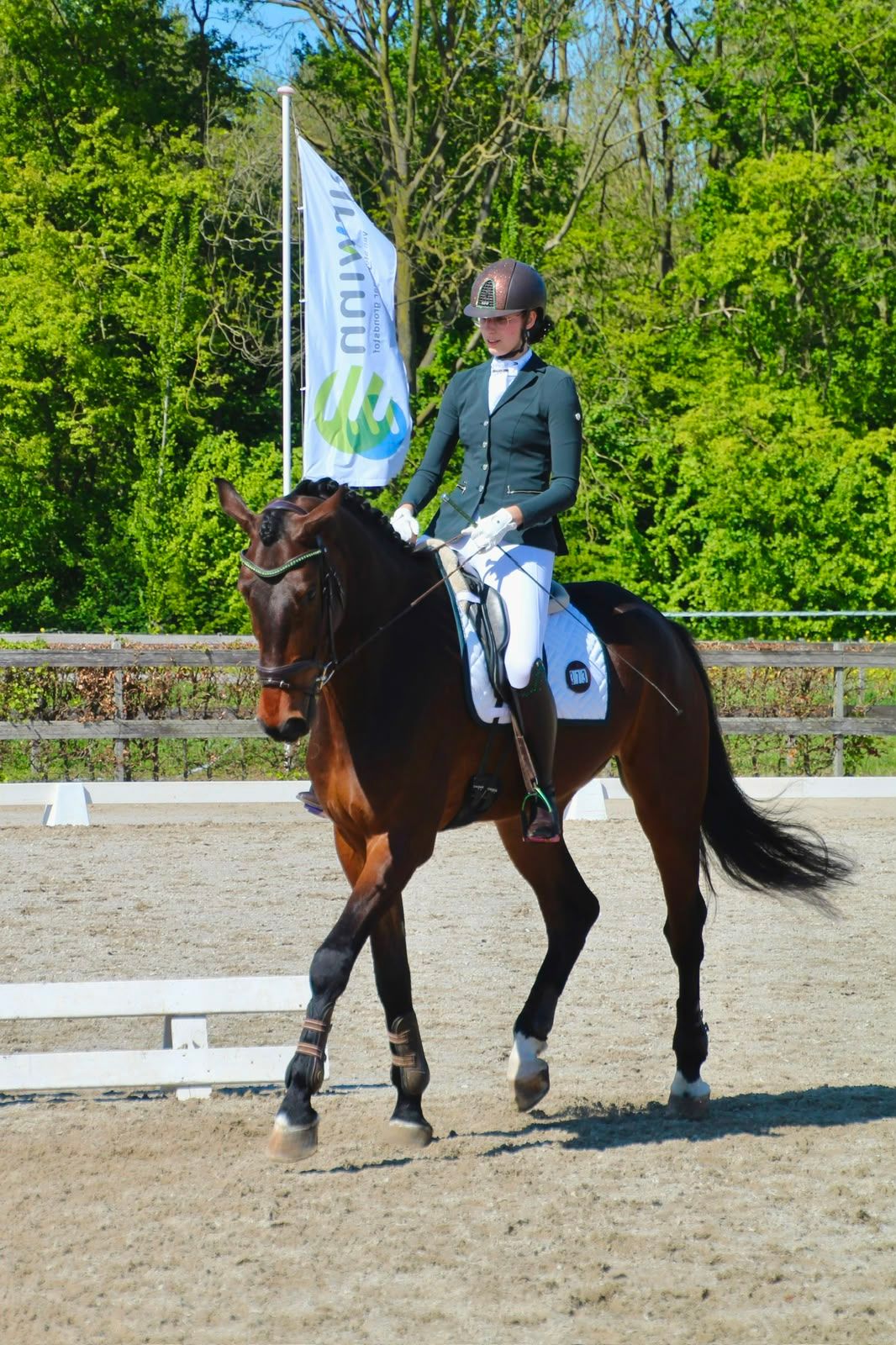 kwpn dressuurpaard ruin 5 rokov donkerbruin na predaj - Foto 3