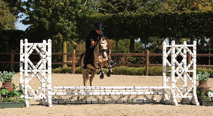 allround-pony merrie 4 lat andere-kleur na sprzedaż - Zdjęcie 3