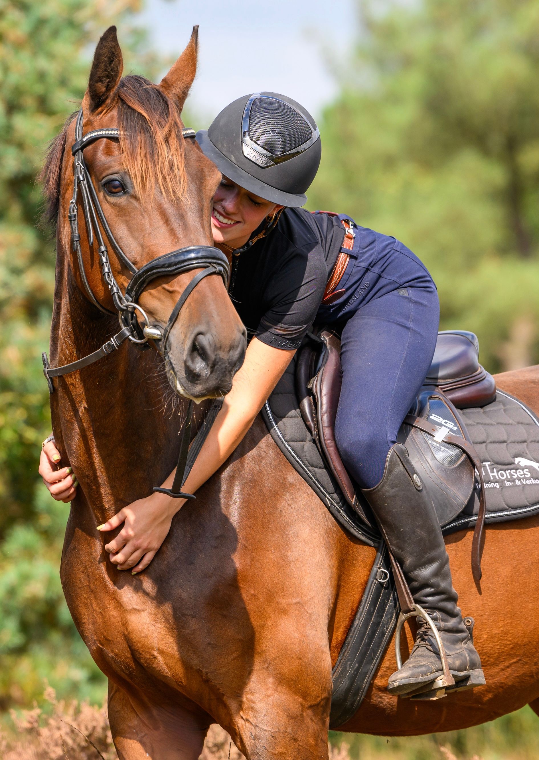 zangersheide springpaard Ruin 7 Jahre alt Bruin zu verkaufen - Foto 2