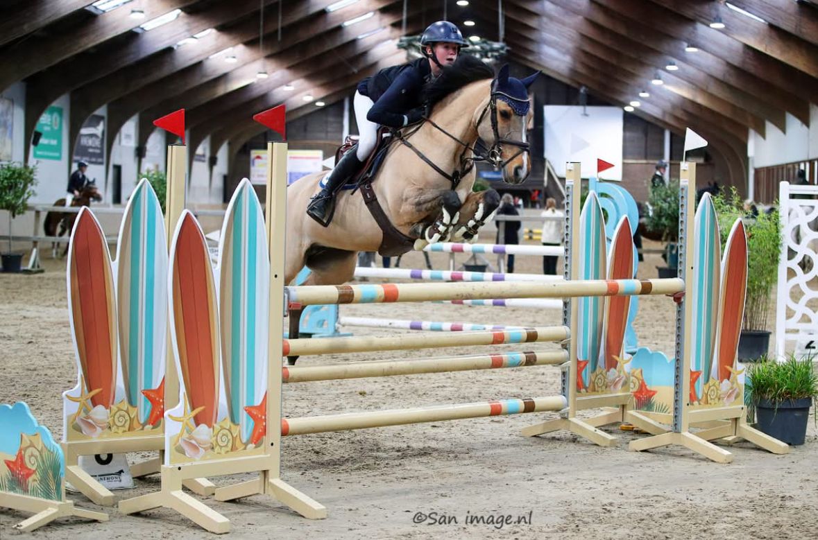 springpony merrie 12 jaar andere-kleur te koop - Foto 3