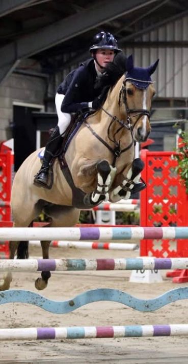 Knappe sportpony ⭐️