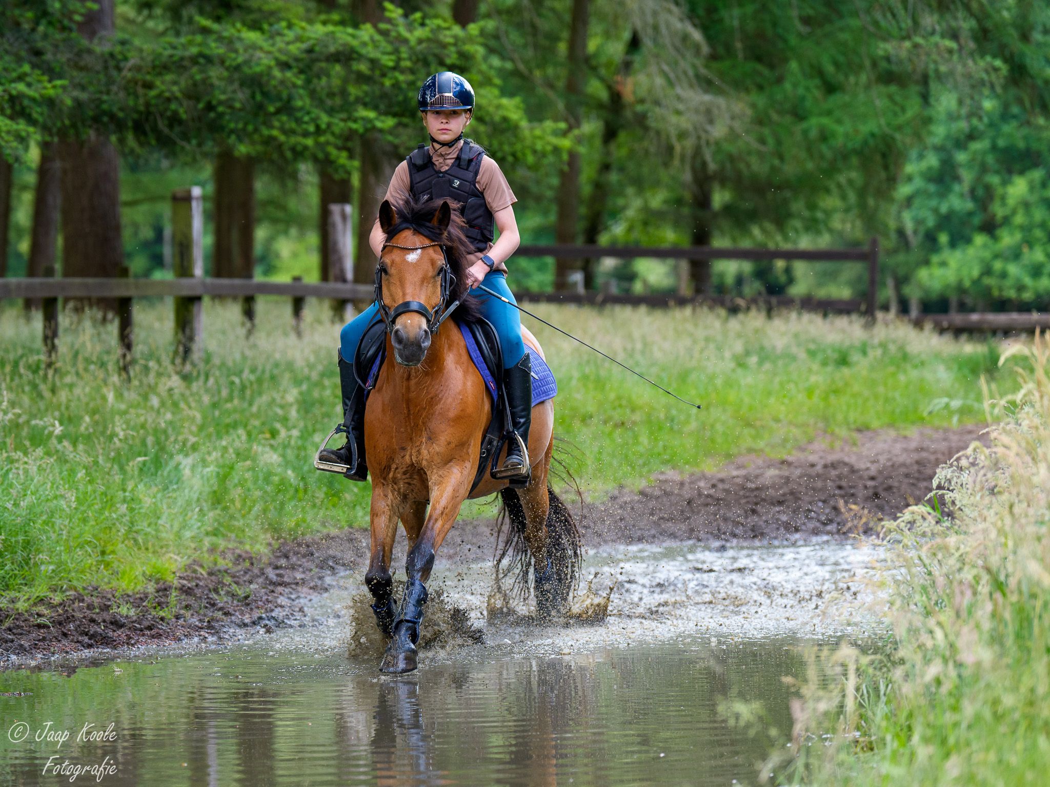 Sweet, bold and versatile all-round D-pony with character