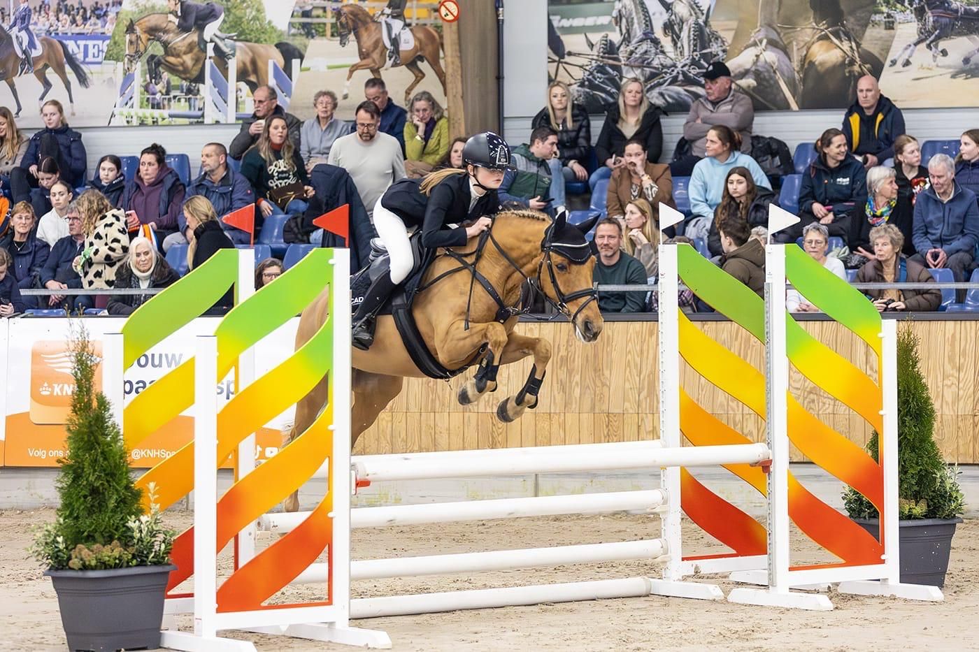 Mooie en goudeerlijke springpony