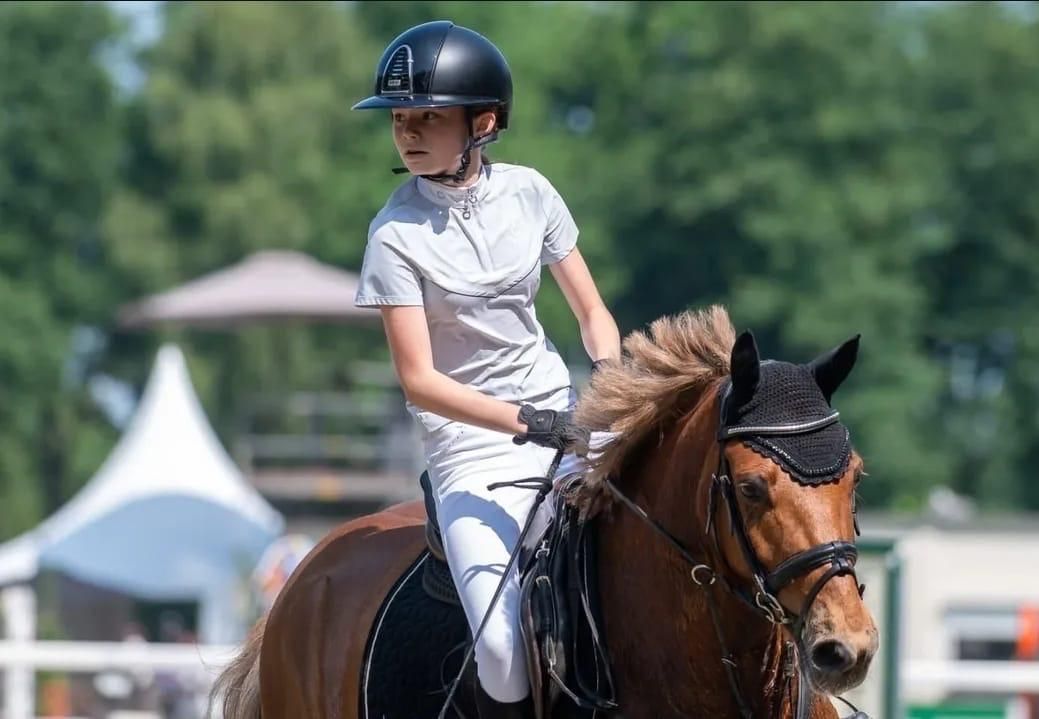 new-forest allround-pony ruin 12 let vos na prodej - Foto 4