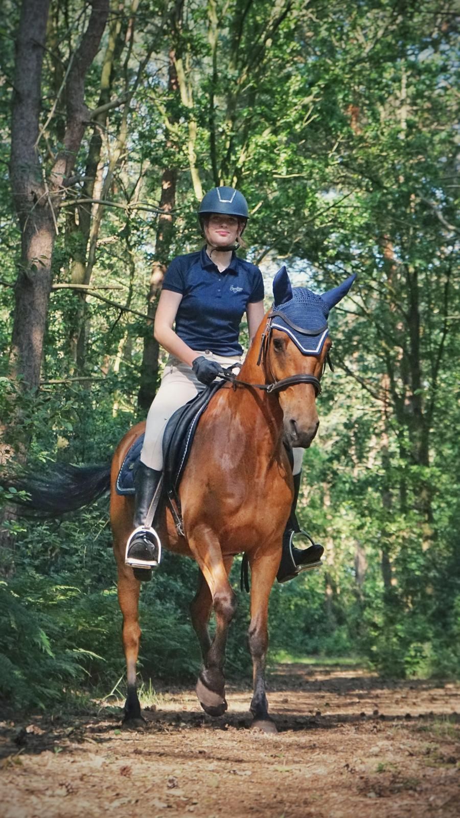 A 9-year-old New Forest cross gelding, 1.43 m