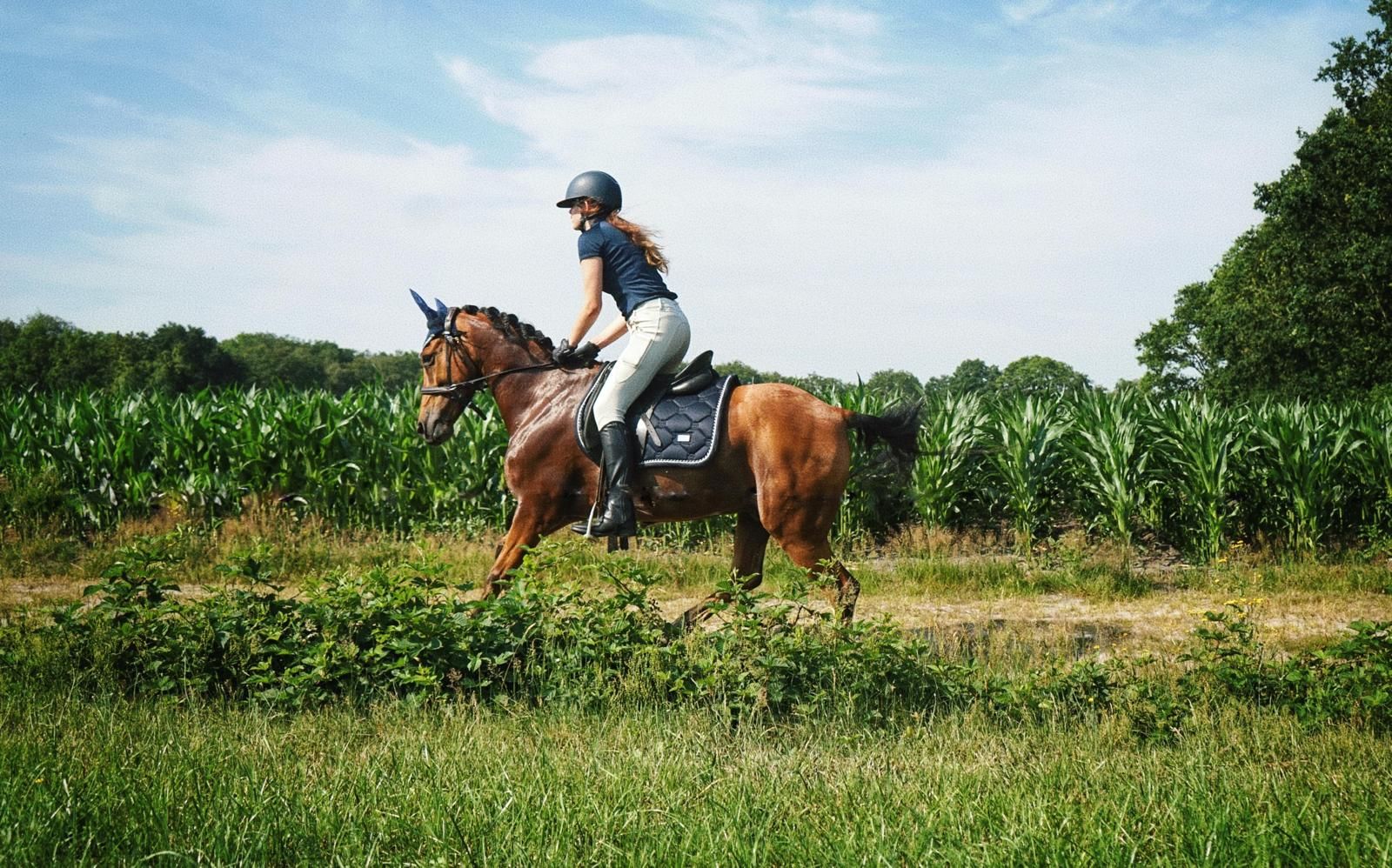 allround-pony ruin 9 years old for sale - Photo 2