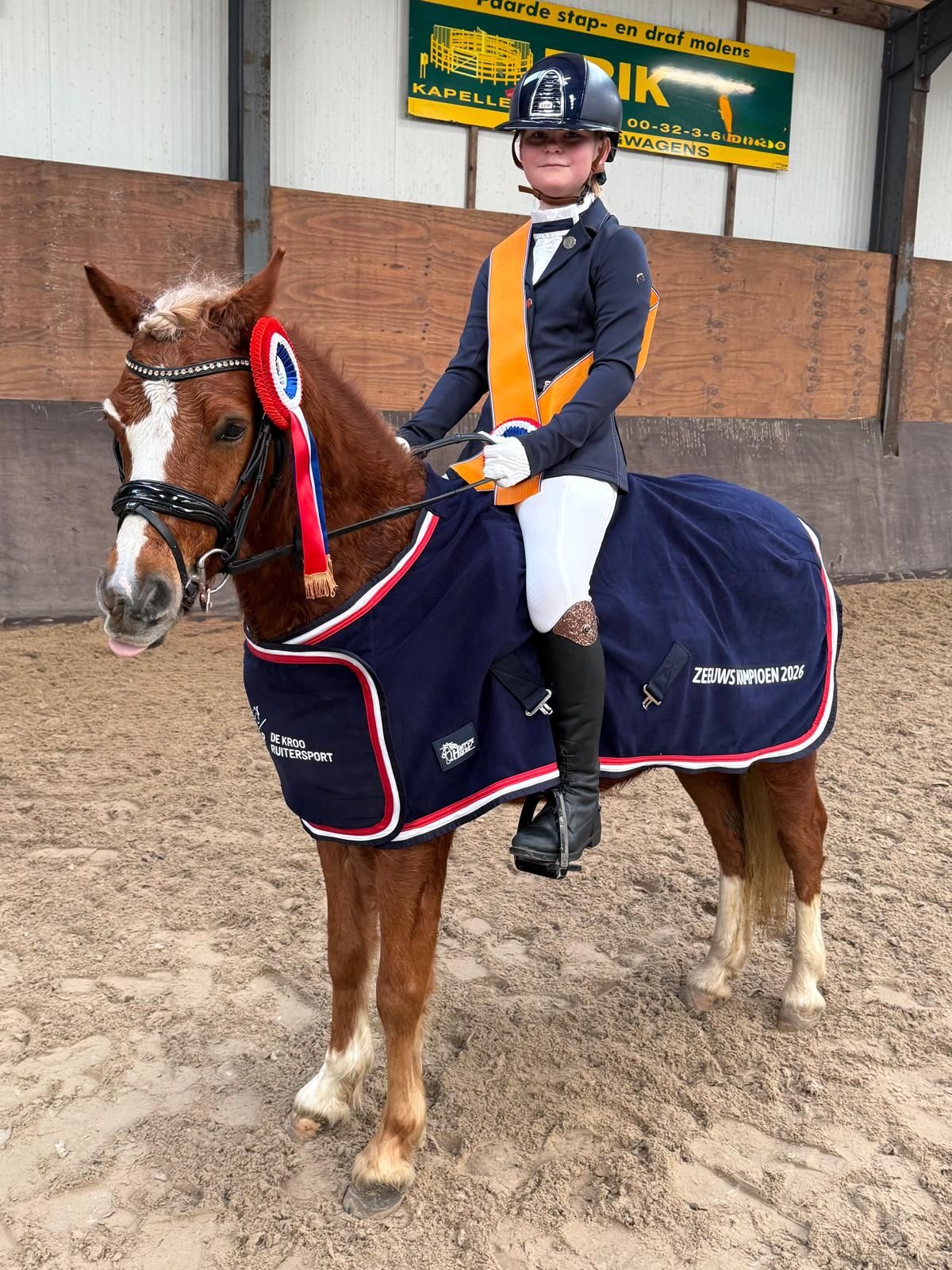welsh dressuurpony ruin 6 vuotta vos myytävänä - Kuva 2