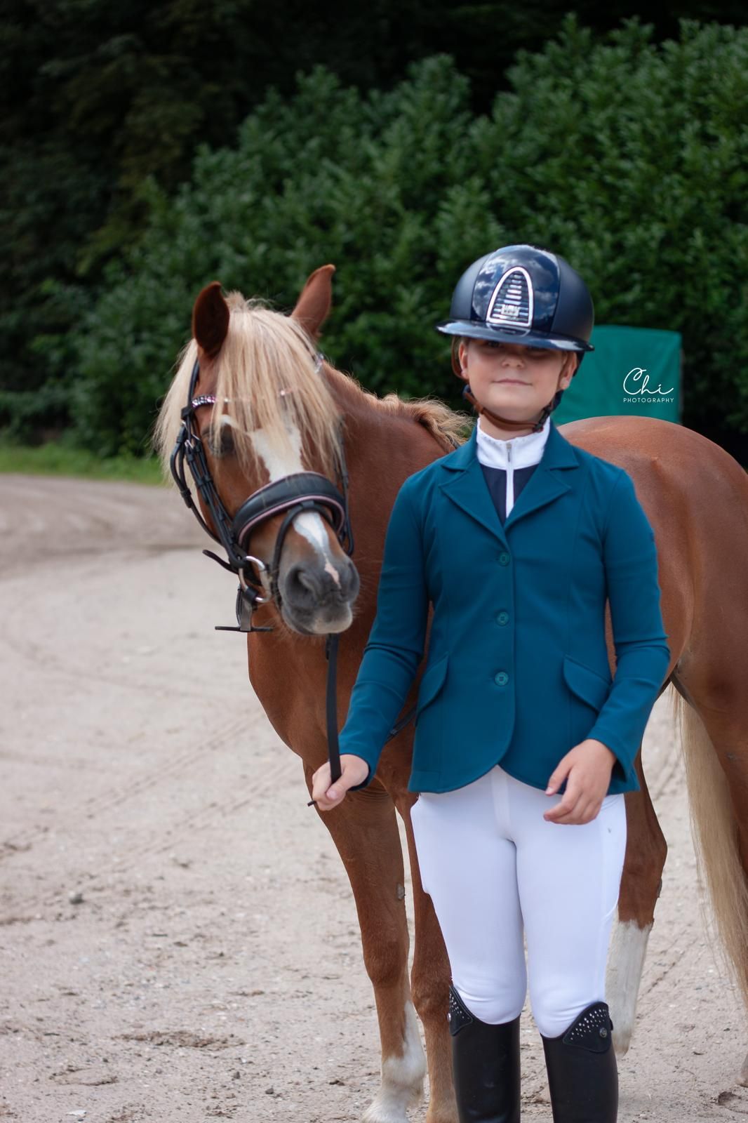 welsh dressuurpony ruin 6 vuotta vos myytävänä - Kuva 3