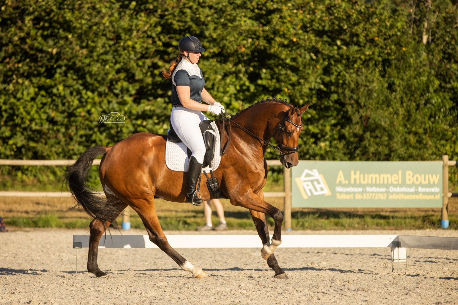 kwpn dressuurpaard ruin 15 jaar bruin te koop - Foto 6