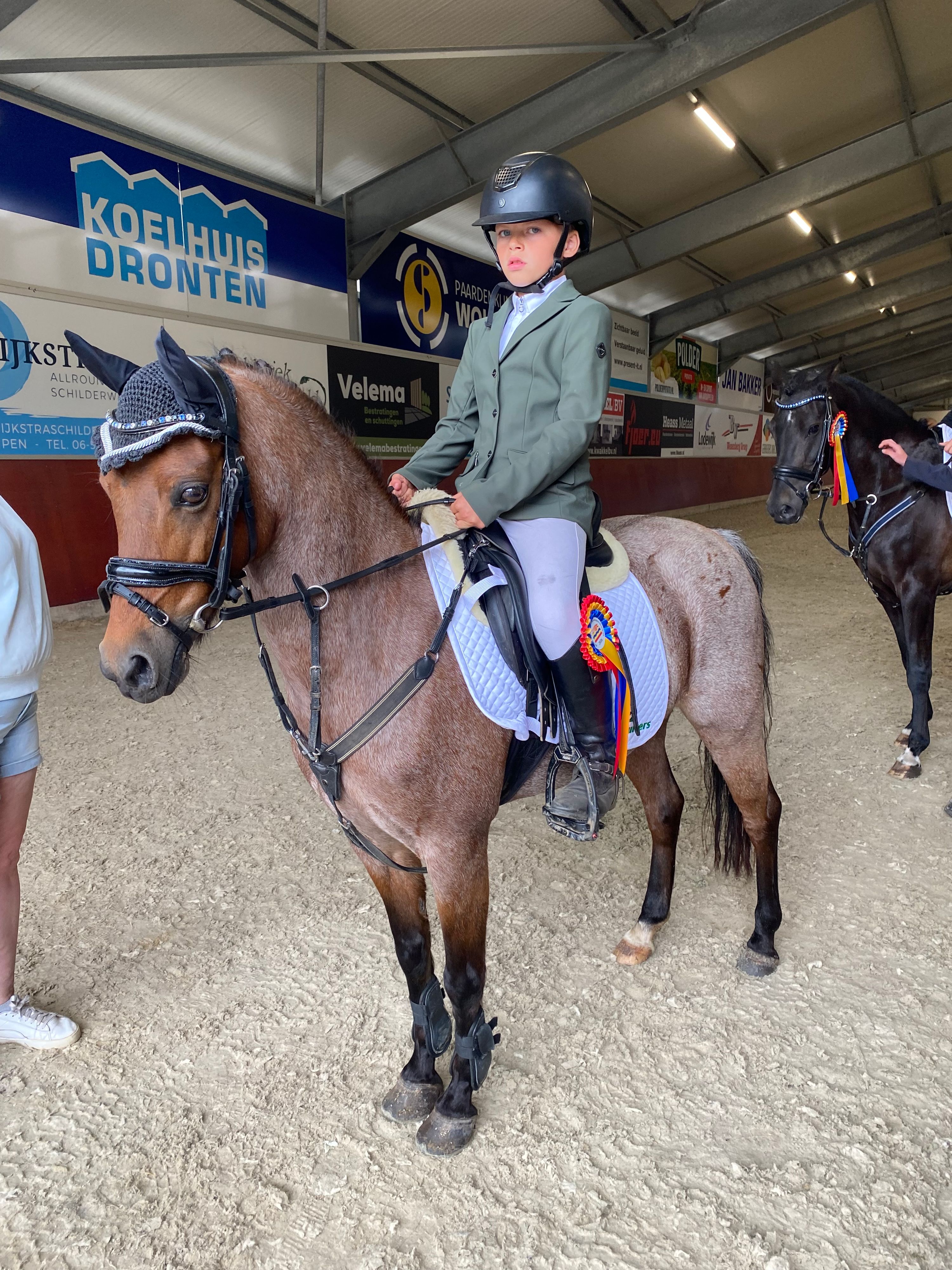 Til salg: En smuk Roan B-pony (Welsh)! Bixie eller sport