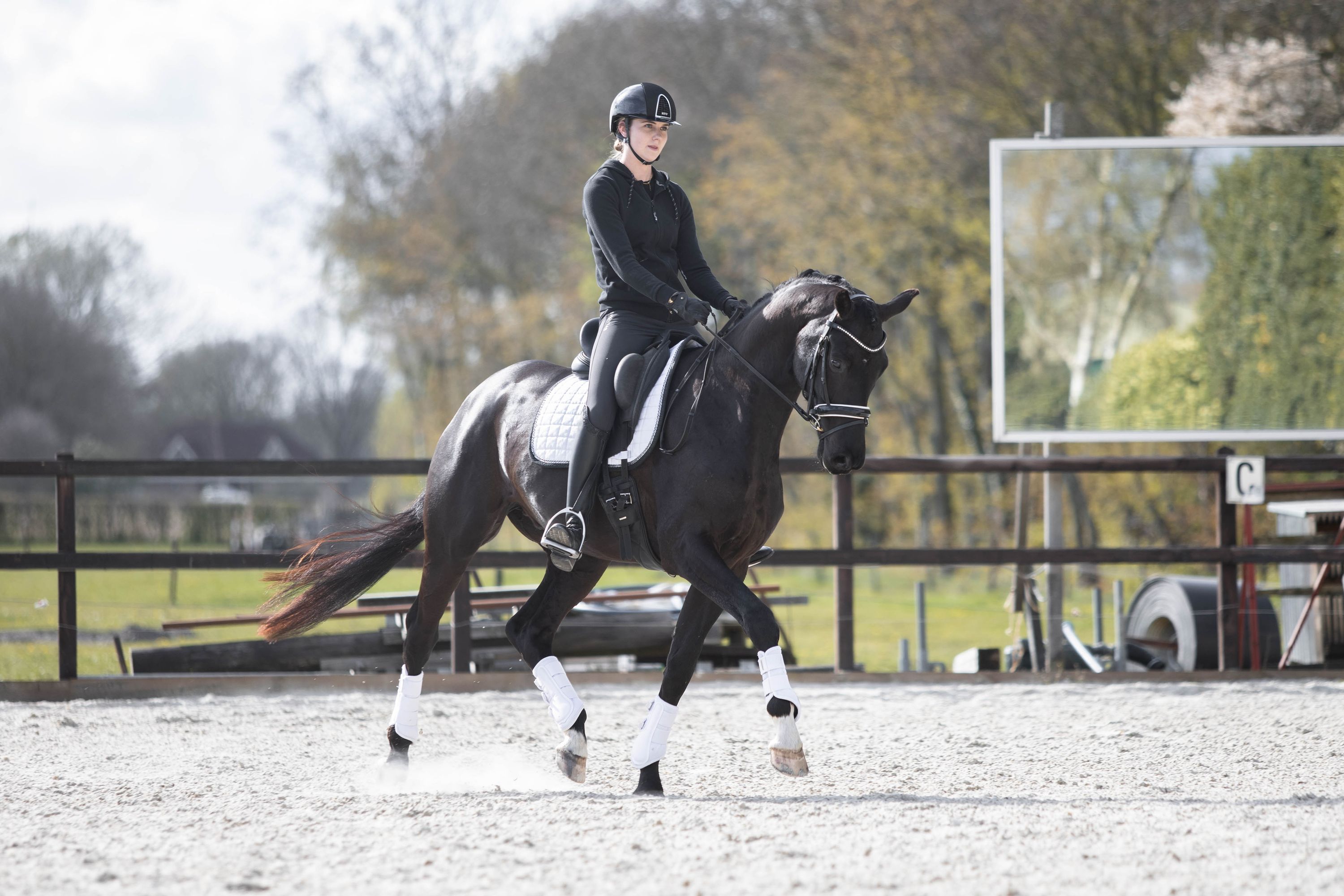 kwpn dressuurpaard ruin 6 anni zwart in vendita - Foto 4