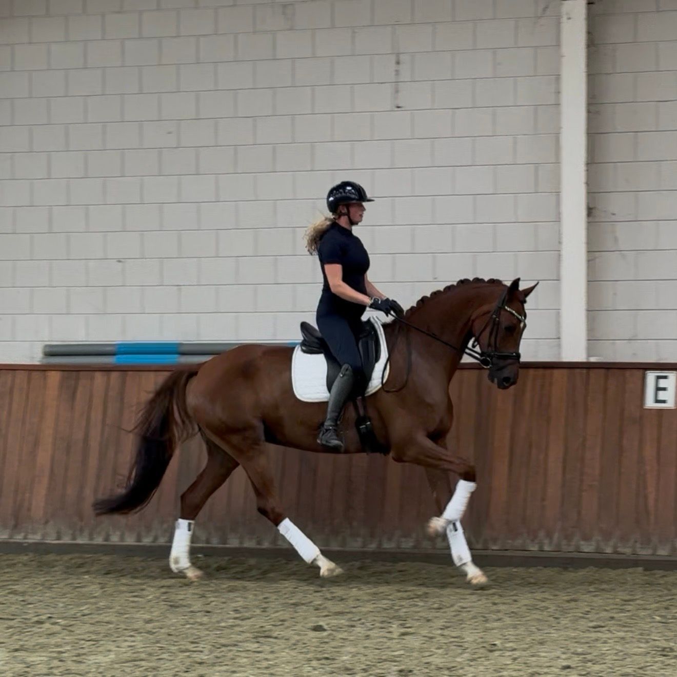kwpn dressuurpaard merrie 7 years old vos for sale - Photo 2