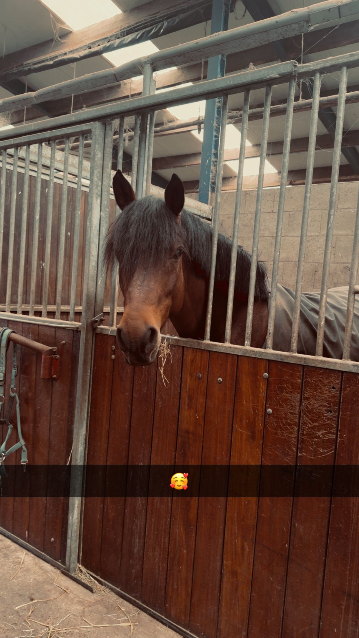 Allergulligaste hopp-ponnyn till salu.