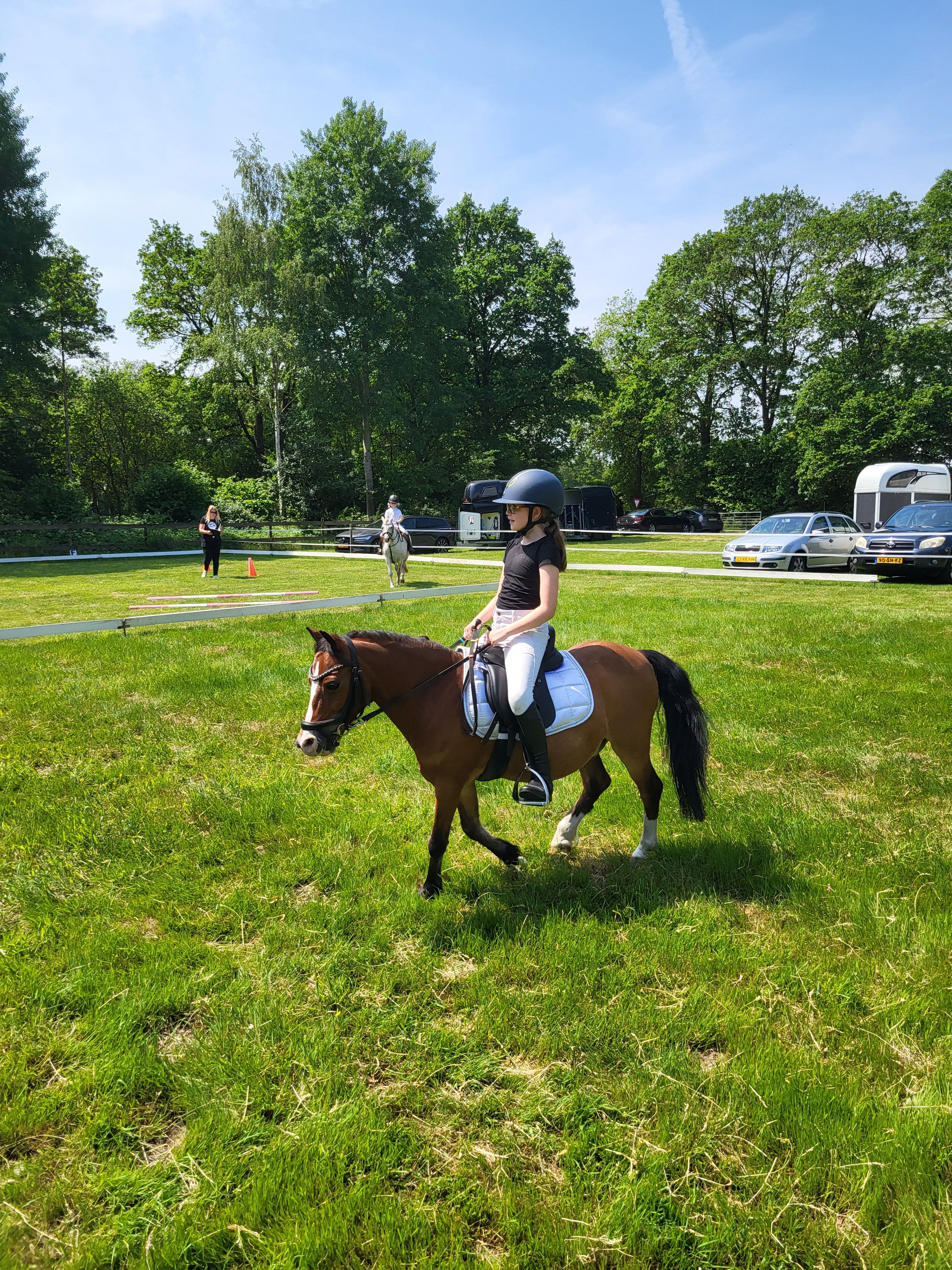10 jarige Spaanse bixie pony