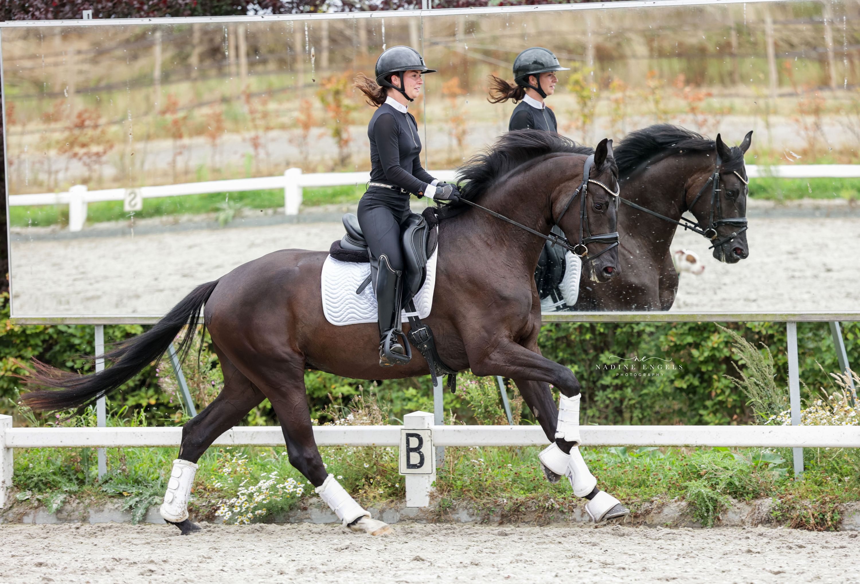 Stoere talentvolle 4 jarige ruin!